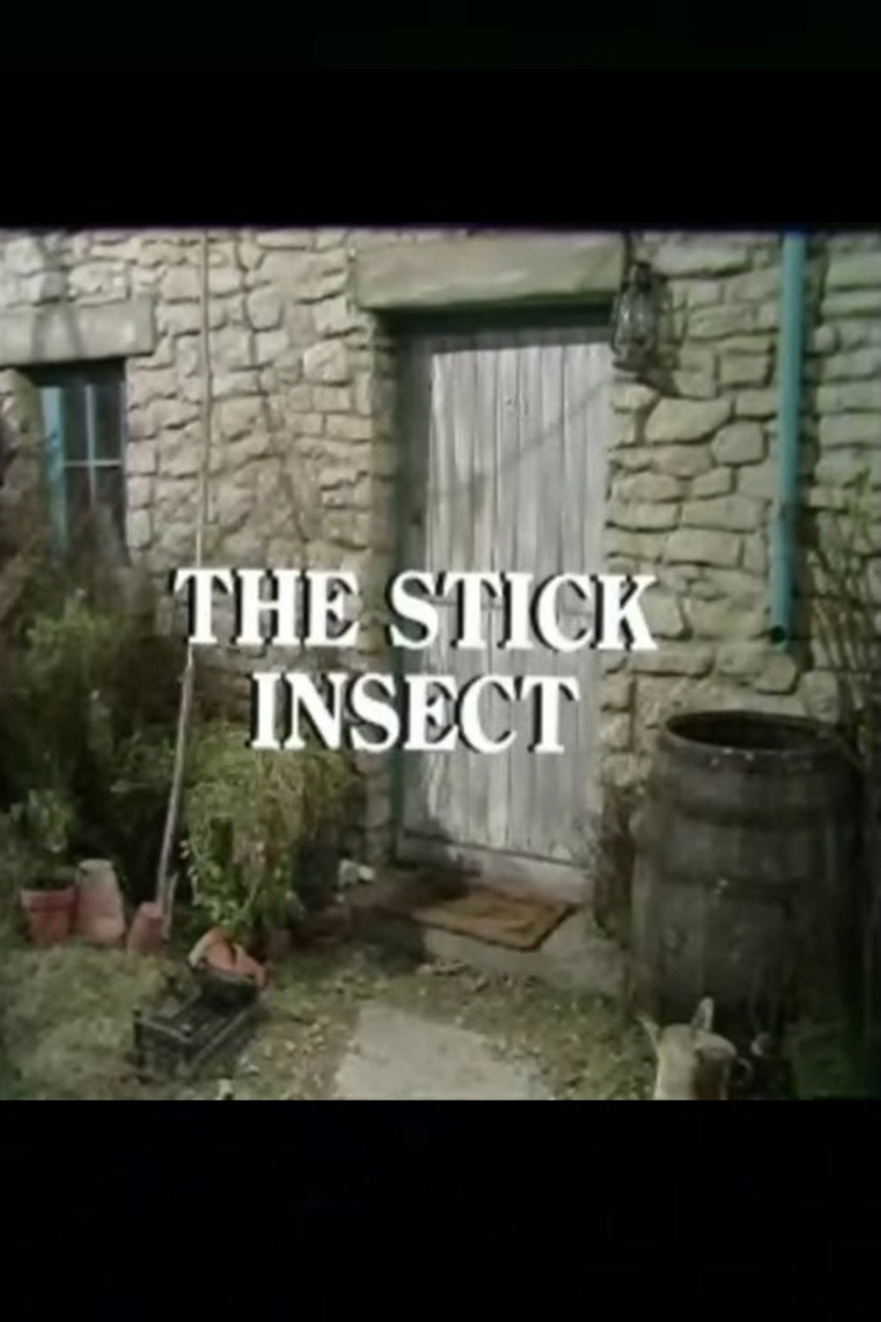 Pôster de The Stick Insect