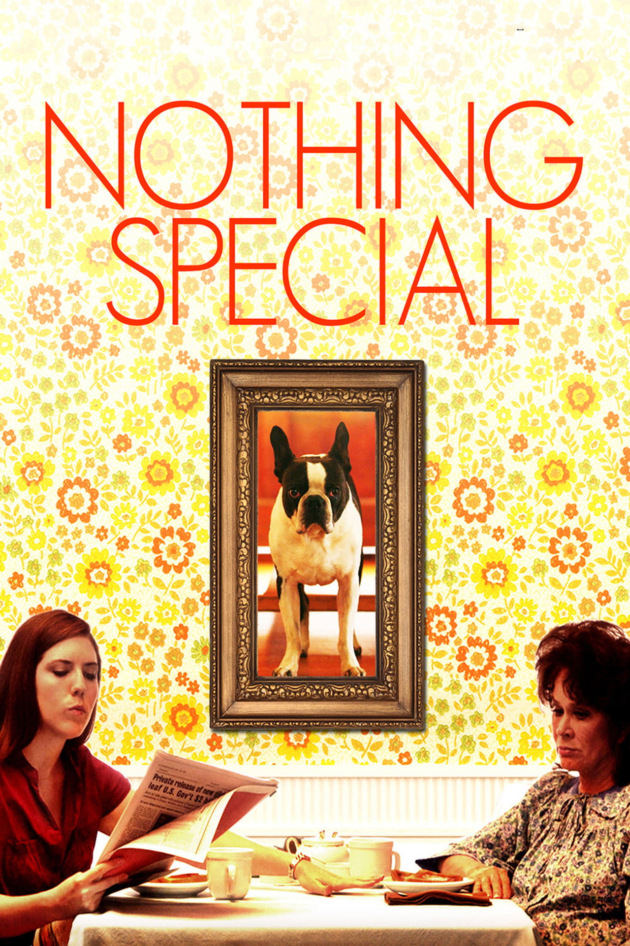 Pôster de Nothing Special