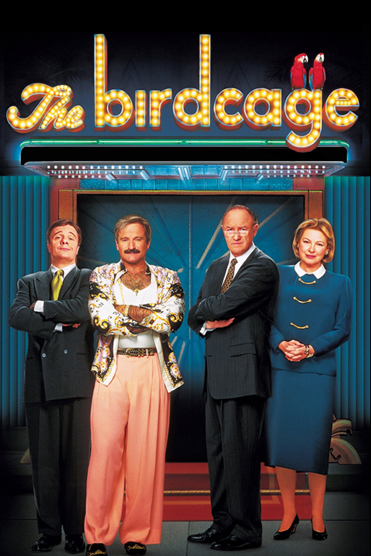 Pôster de The Birdcage