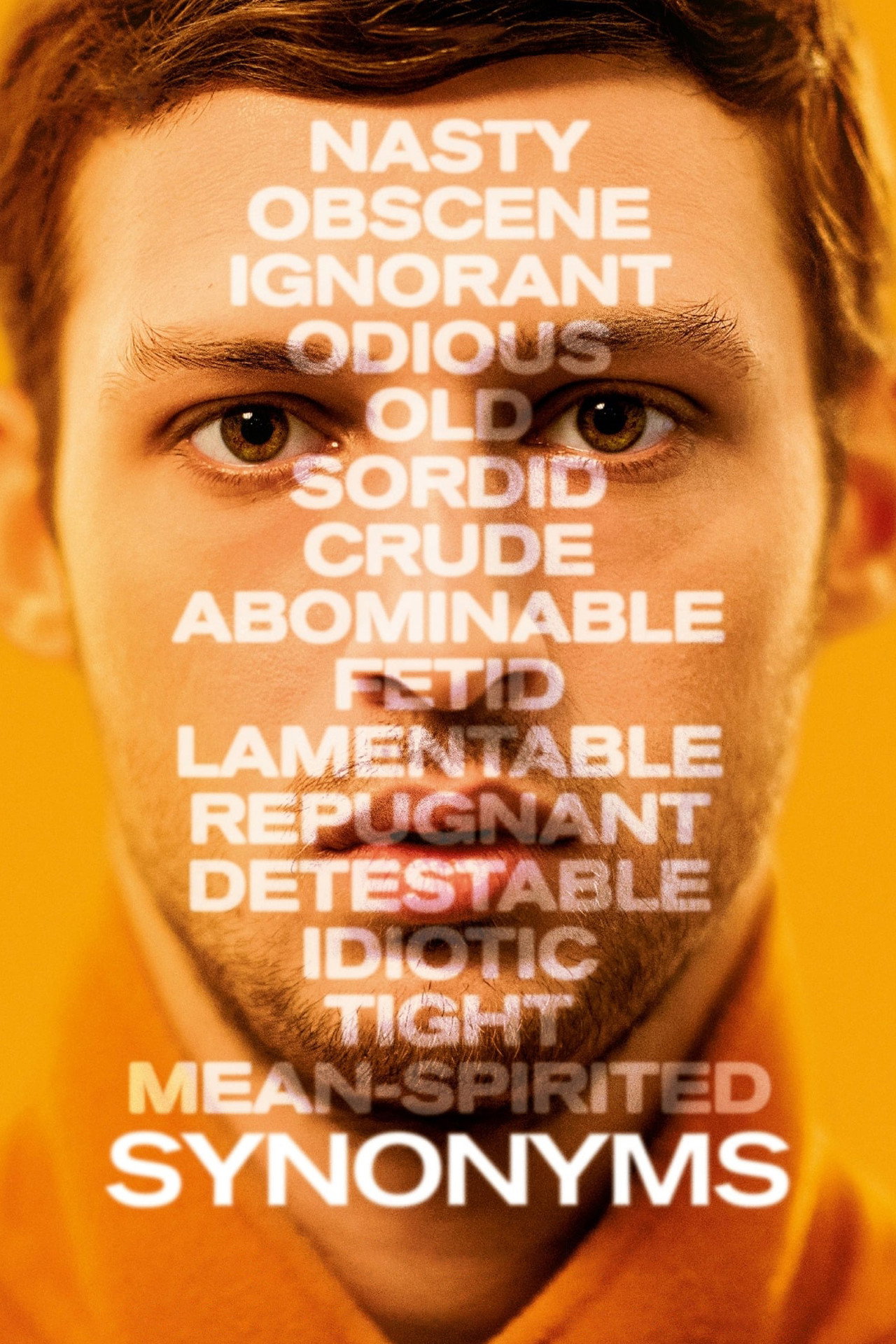 Pôster de Synonyms