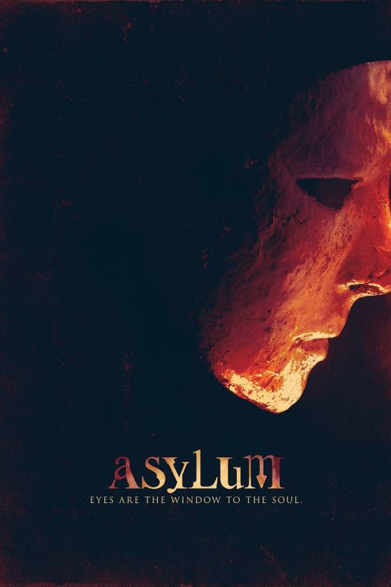 Pôster de Asylum