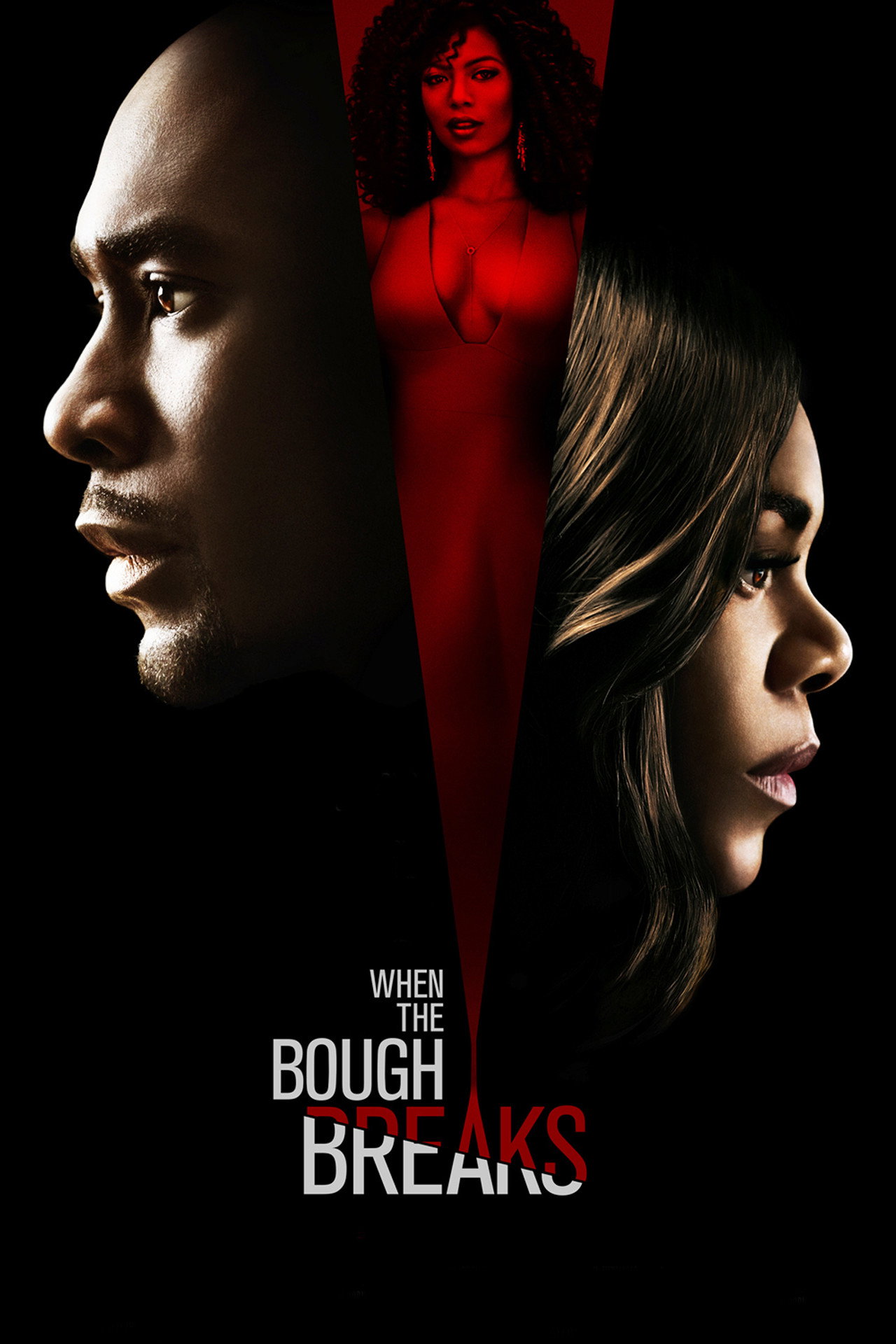 Pôster de When the Bough Breaks
