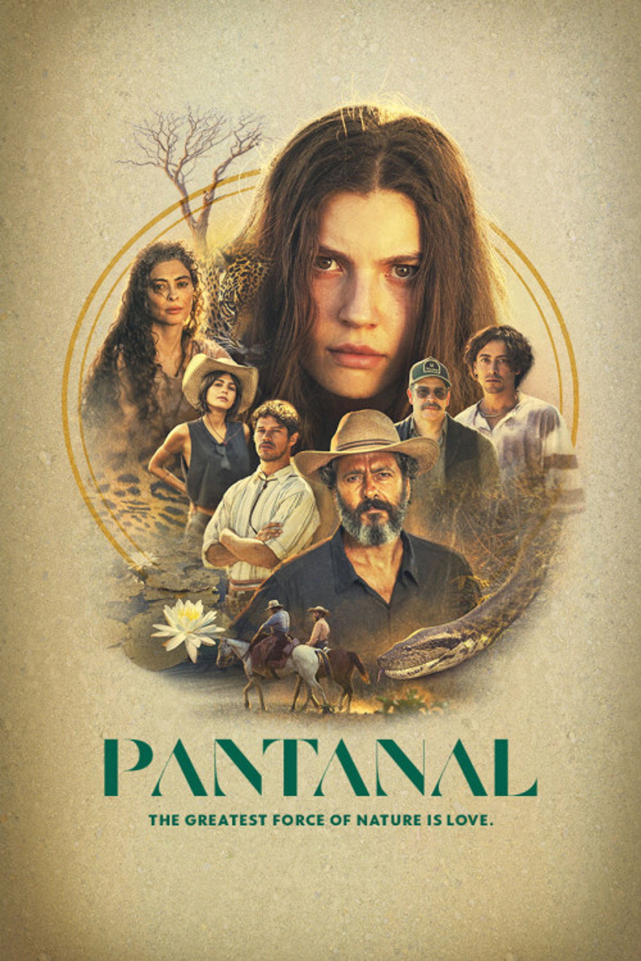 Pôster de Pantanal