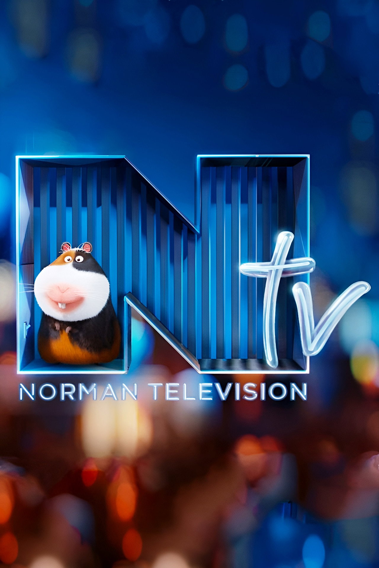 Pôster de Norman Television