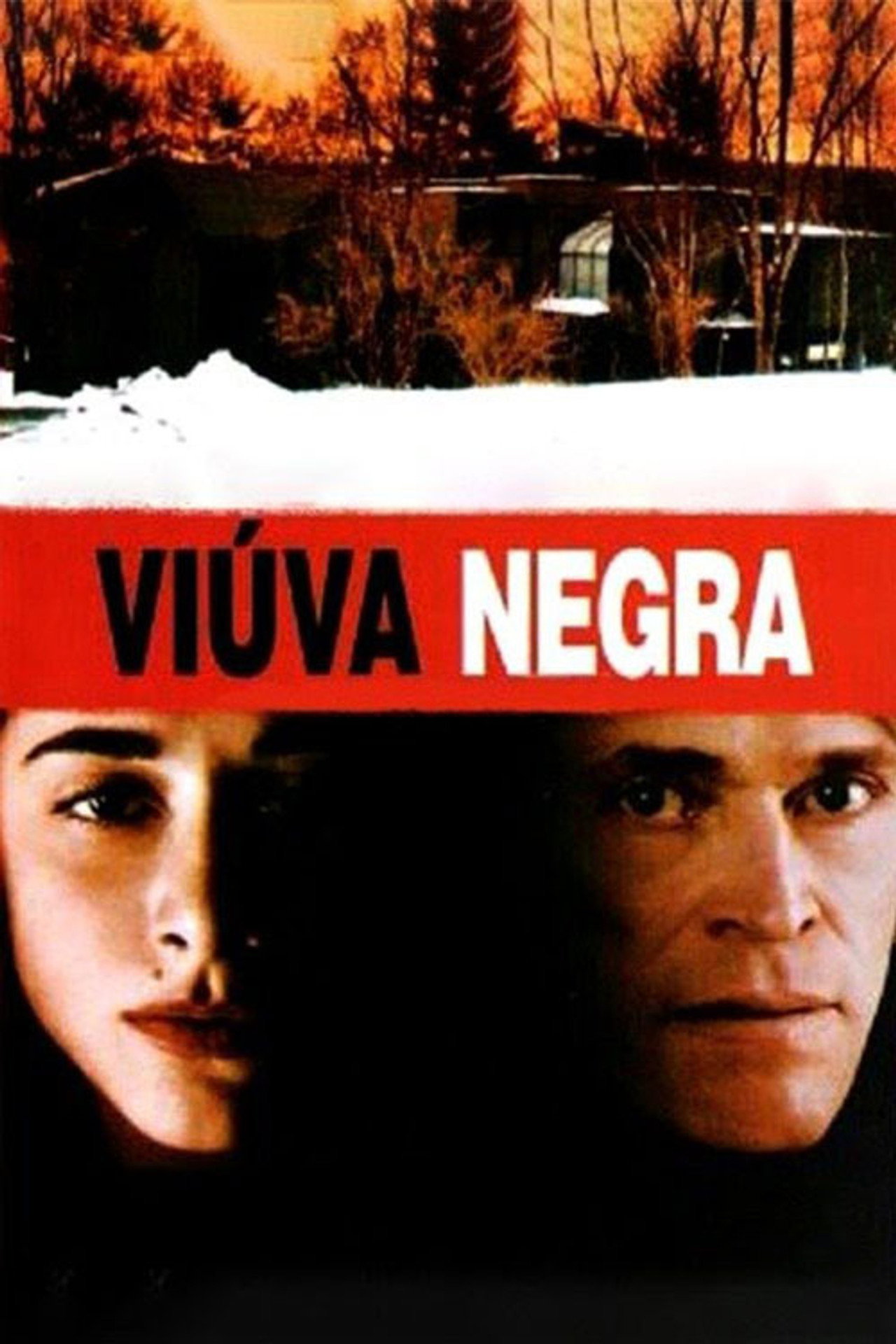 Pôster de Viúva Negra