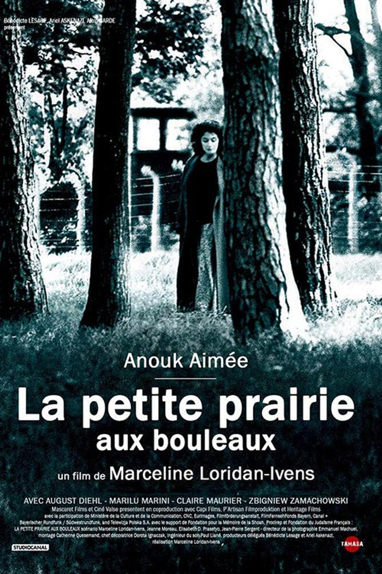 Pôster de La petite prairie aux bouleaux