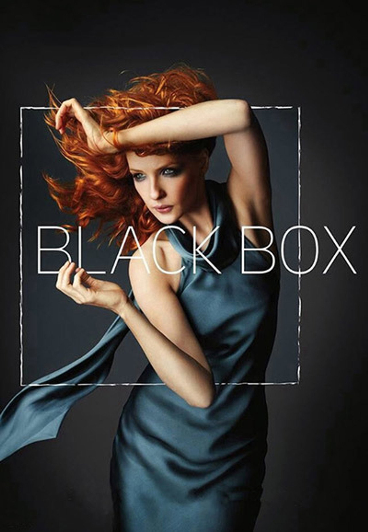 Pôster de Black Box