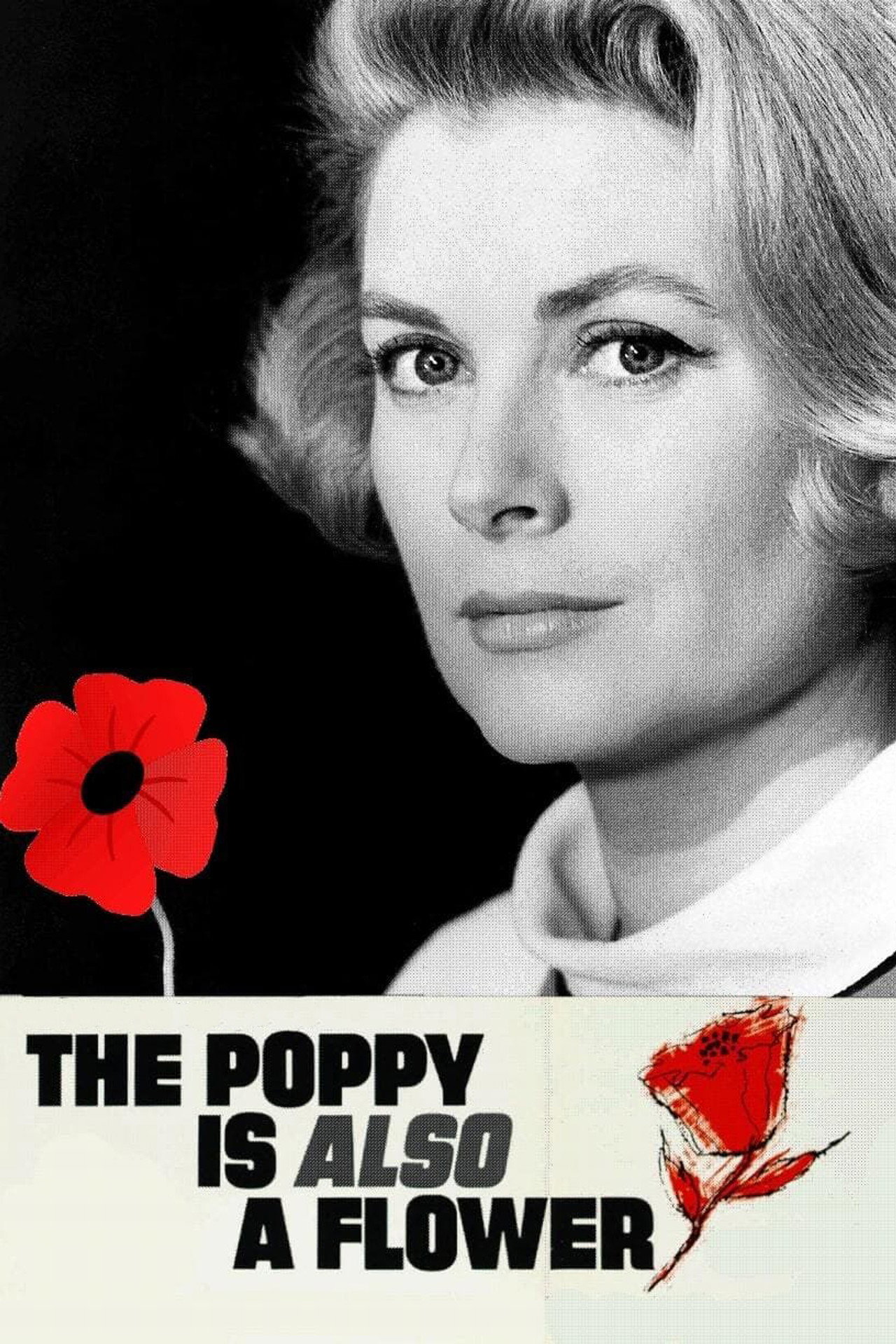 Pôster de The Poppy Is Also a Flower