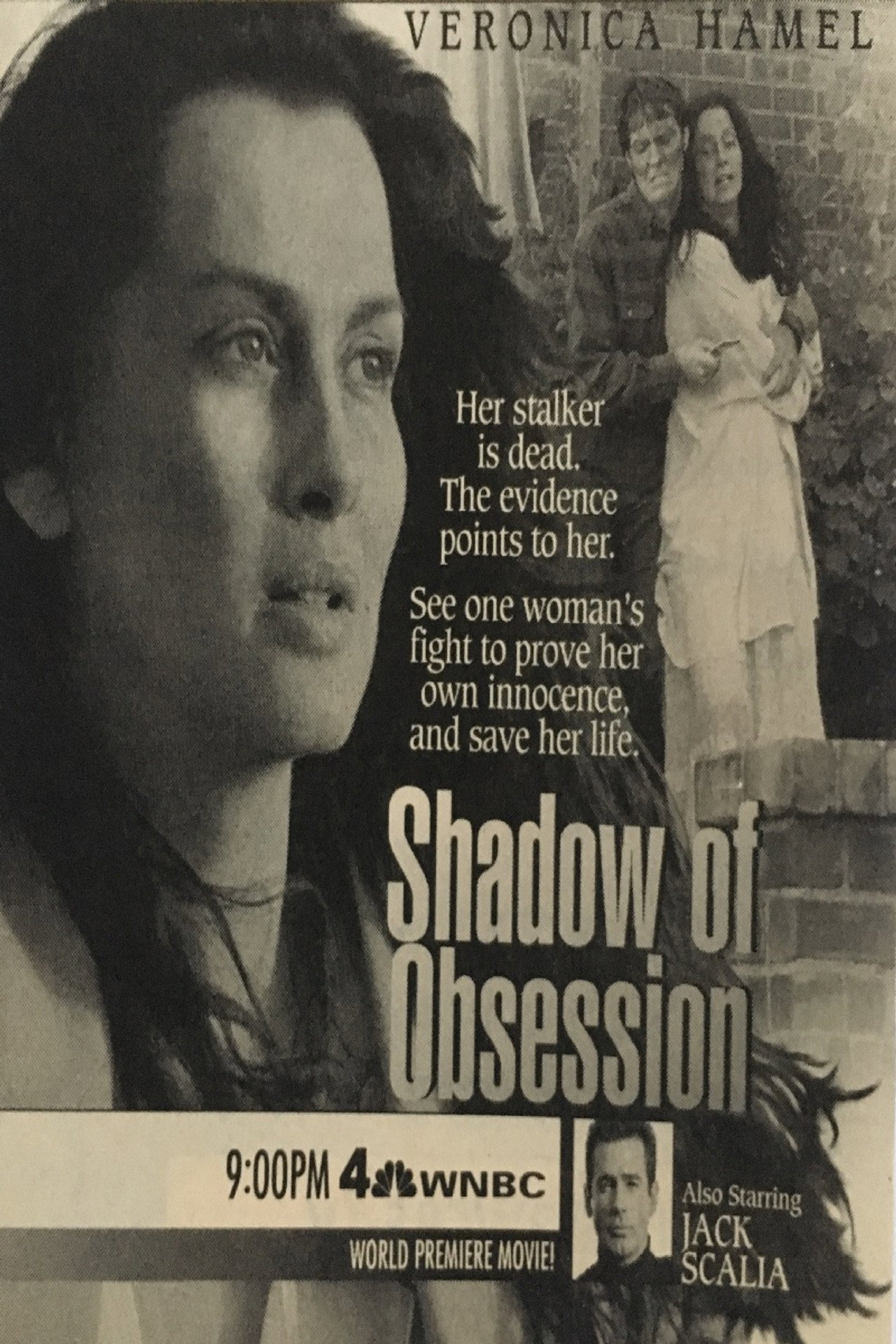 Pôster de Shadow of Obsession