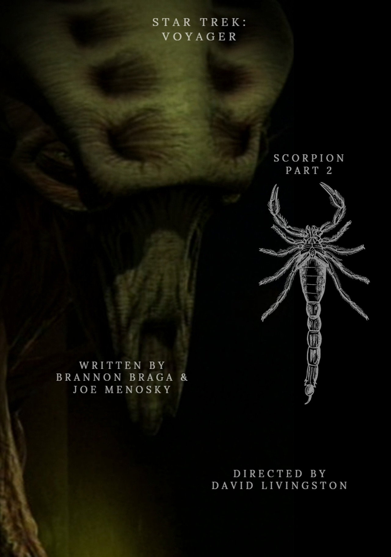 Pôster de Star Trek: Voyager - Scorpion