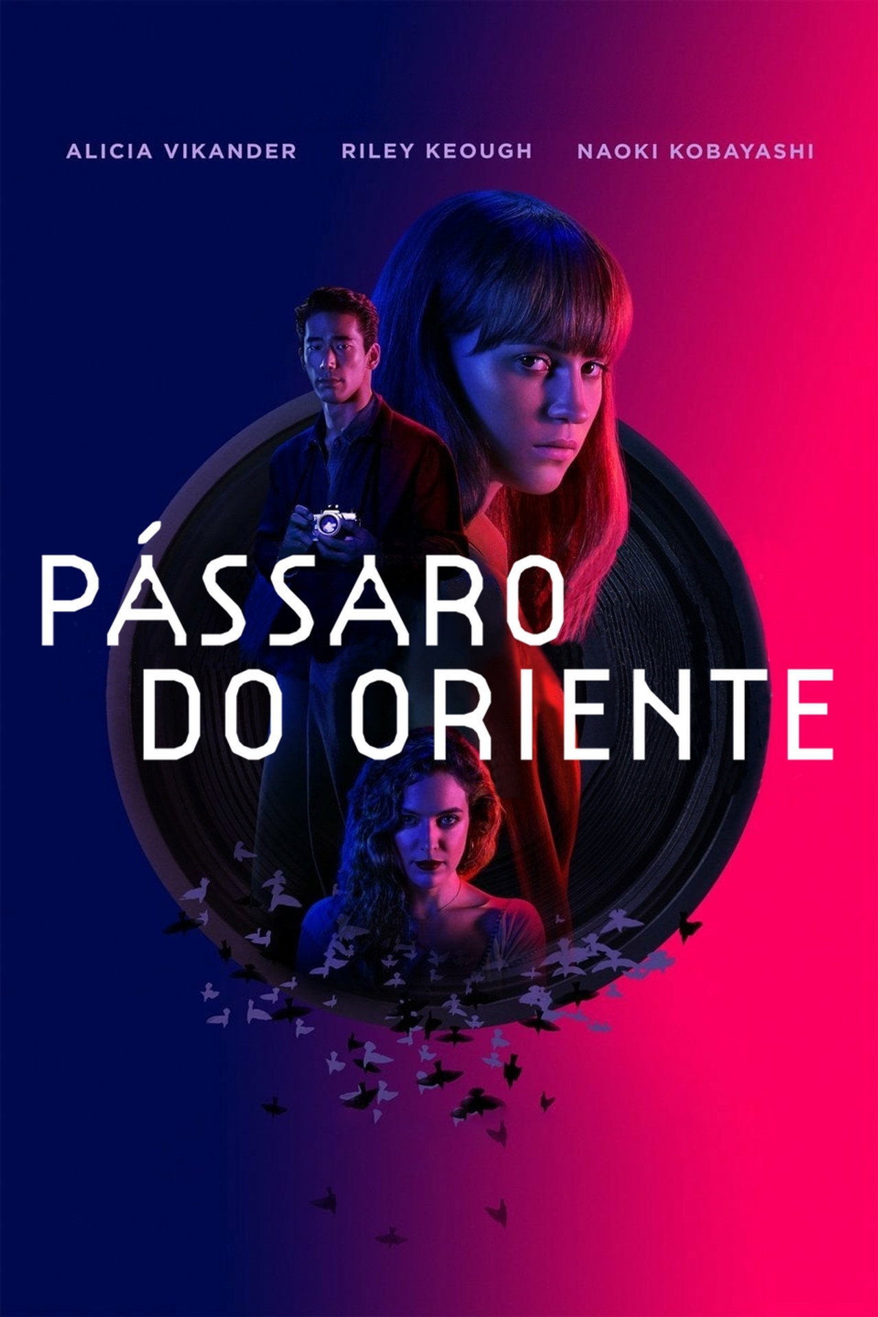 Pôster de Pássaro do Oriente