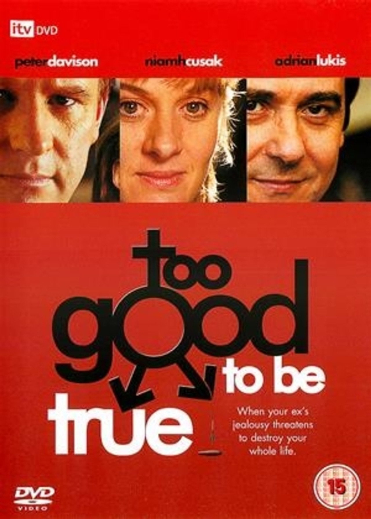 Pôster de Too Good to Be True