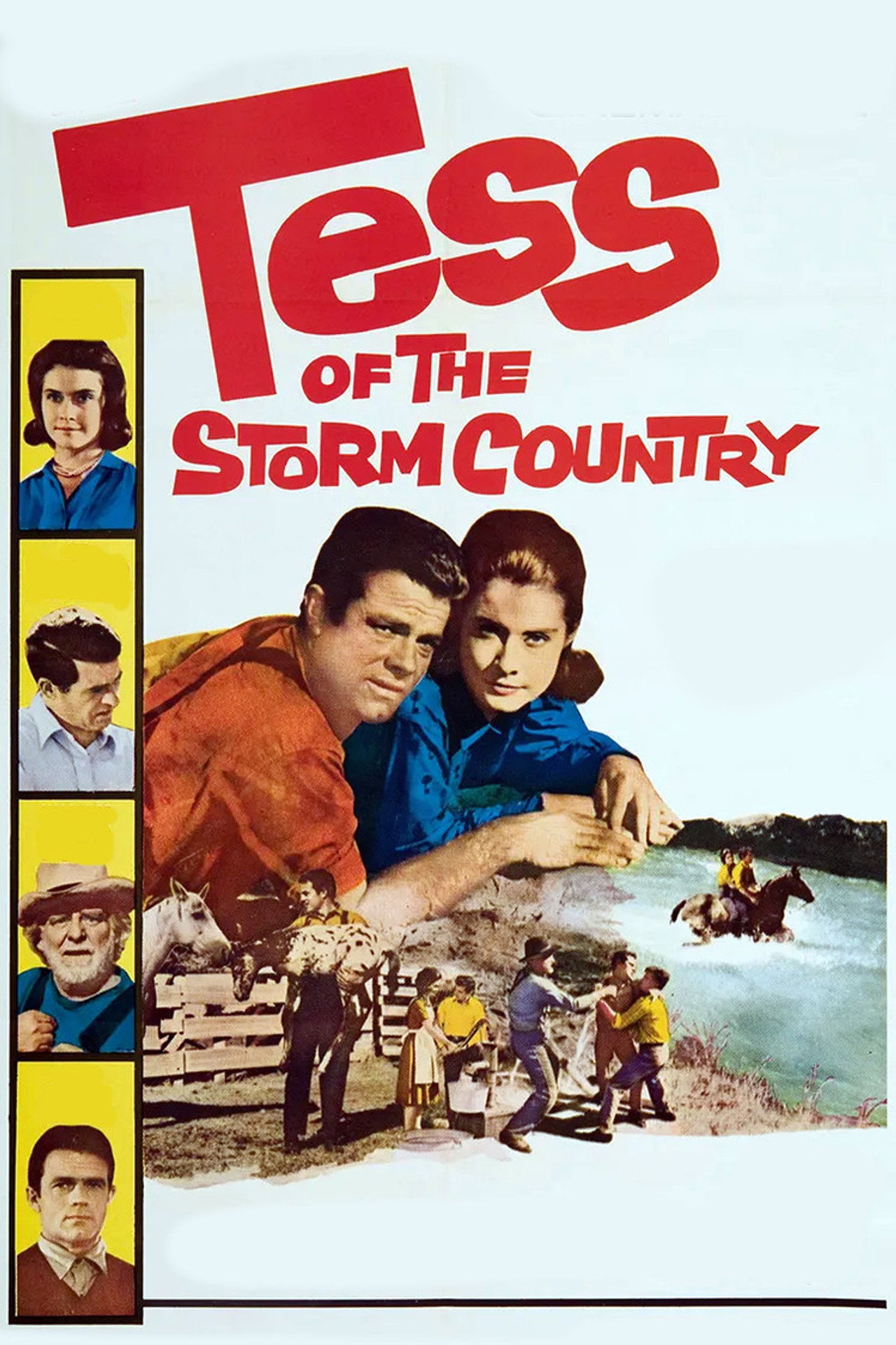 Pôster de Tess of the Storm Country