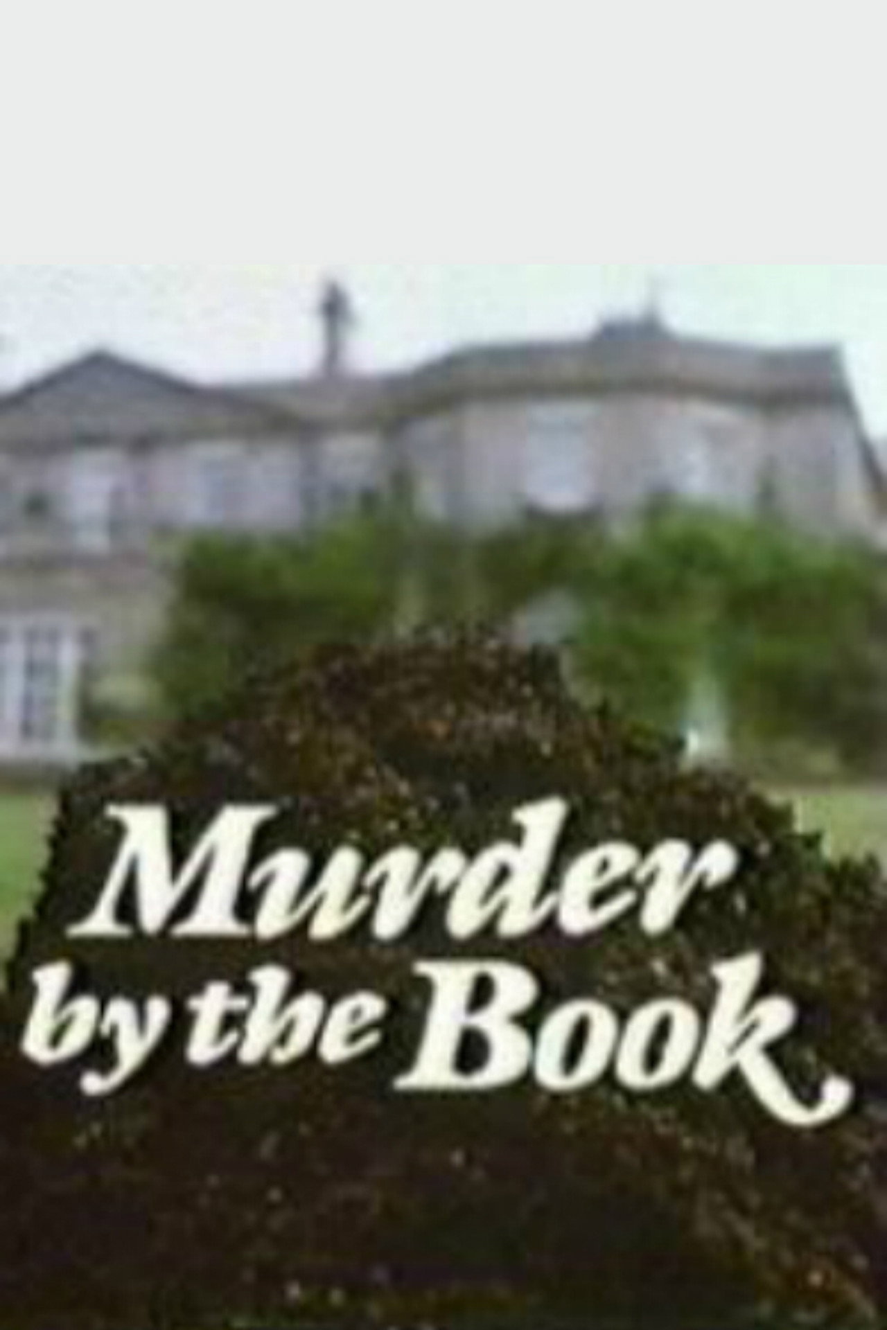 Pôster de Murder by the Book