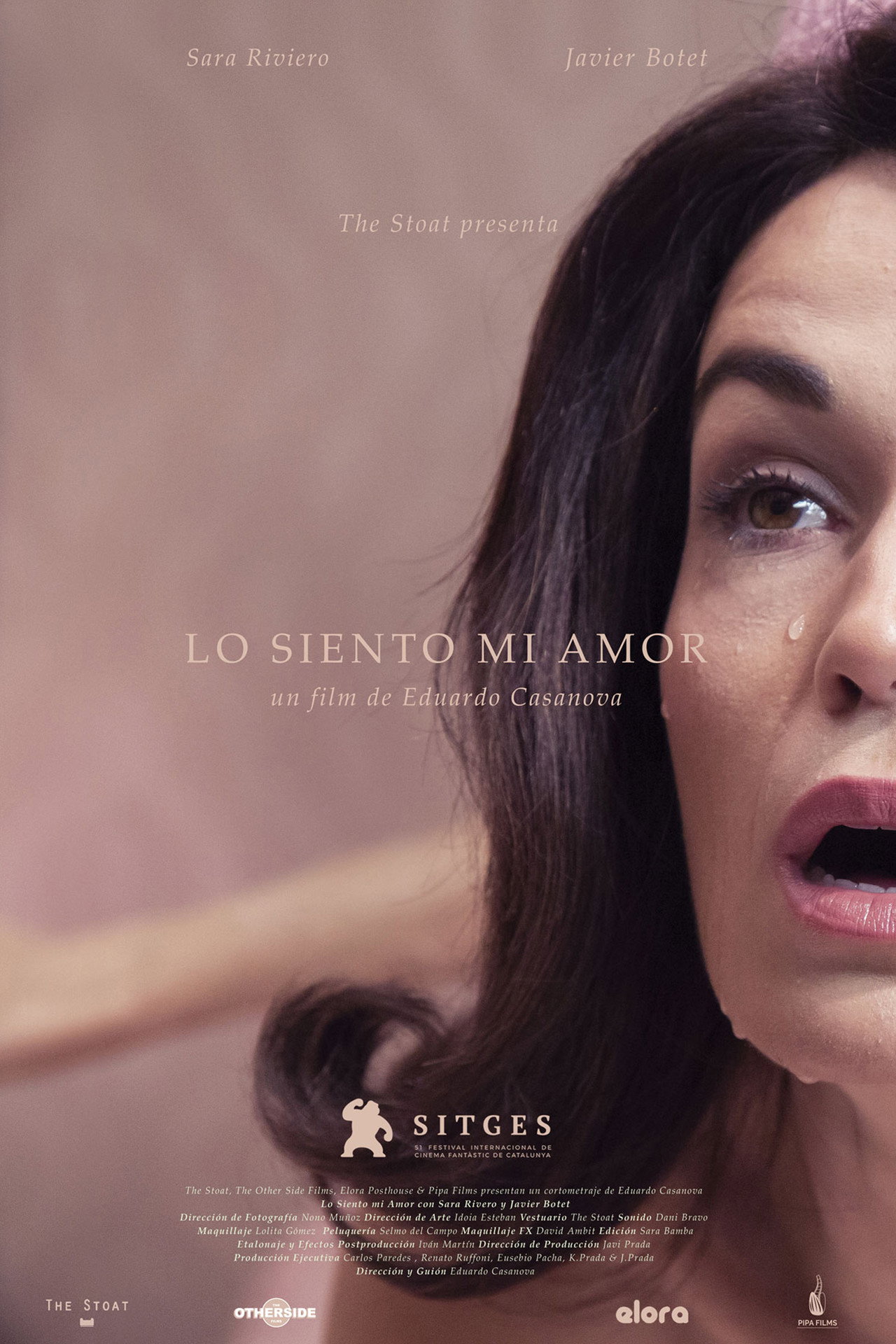 Pôster de Lo siento mi amor
