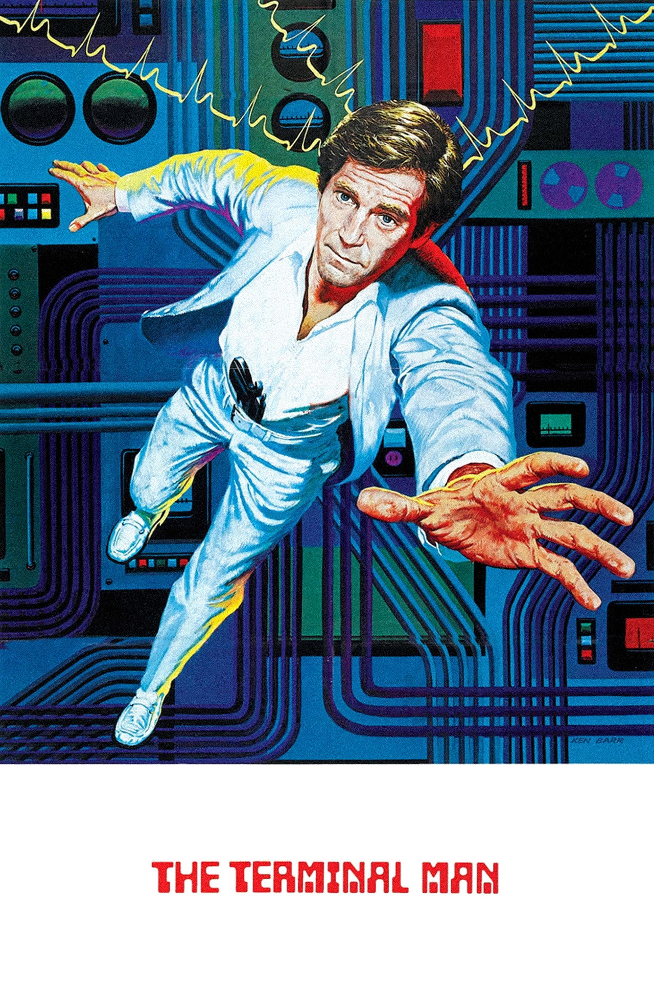 Pôster de The Terminal Man