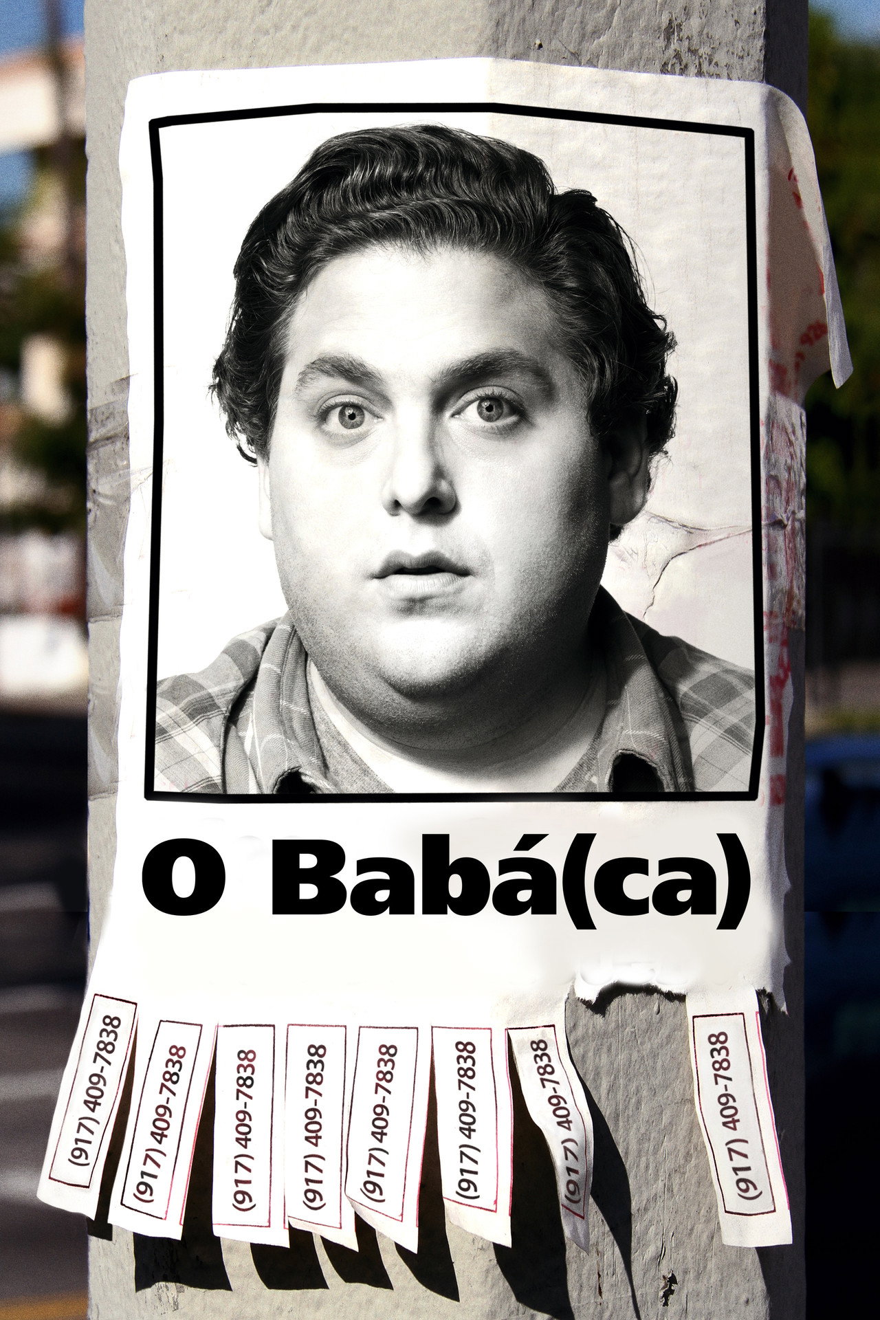 Pôster de O Babá(ca)