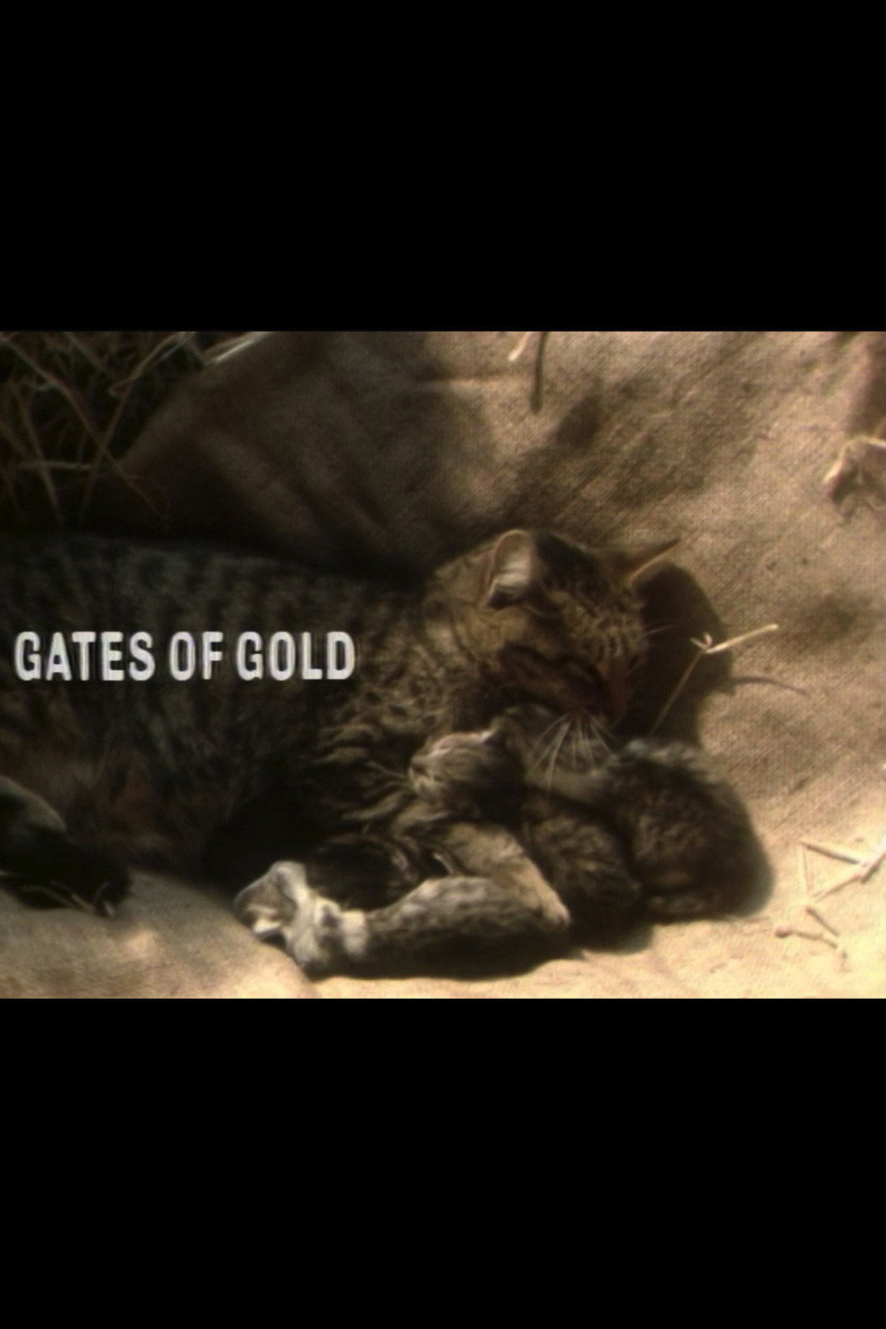 Pôster de Gates of Gold