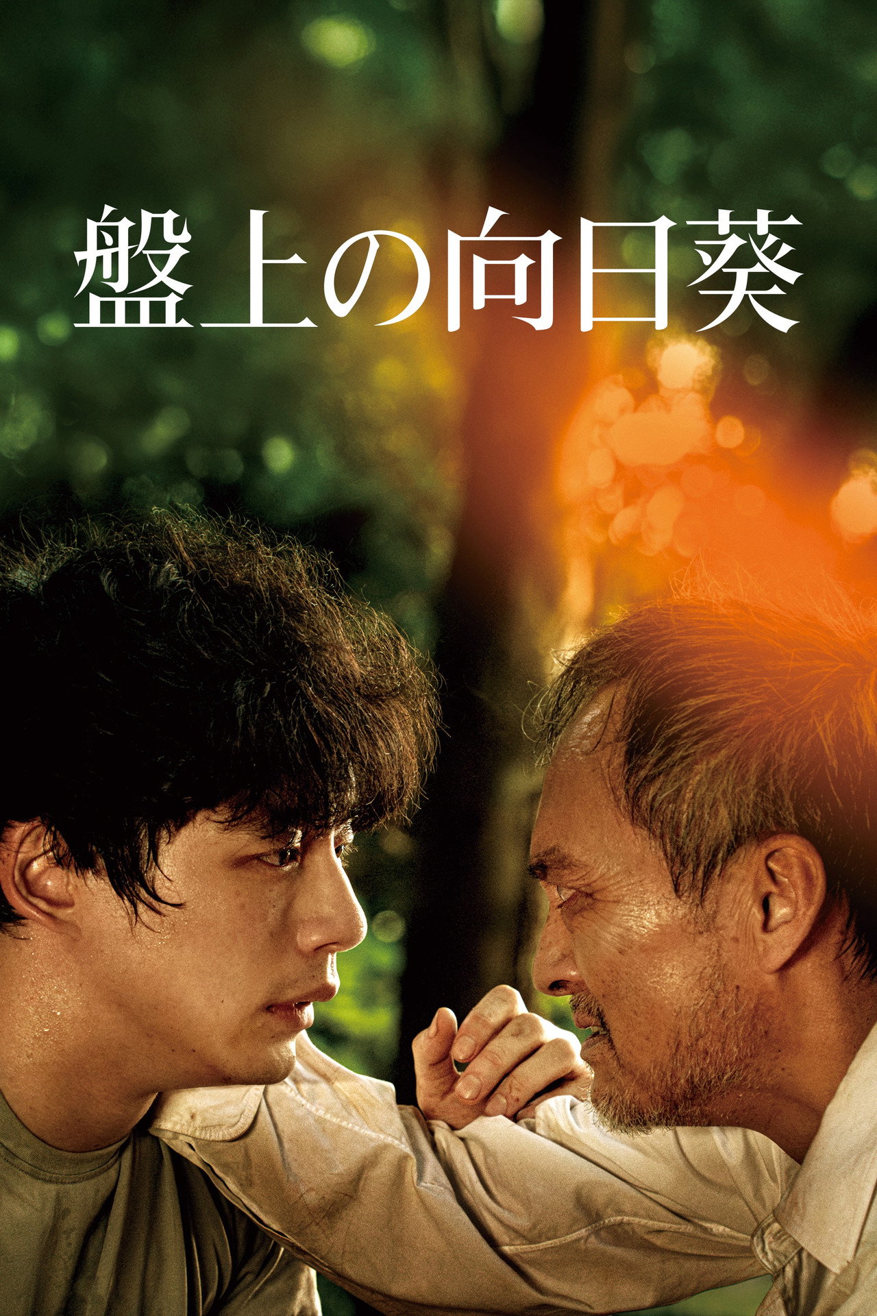 Pôster de 盤上の向日葵