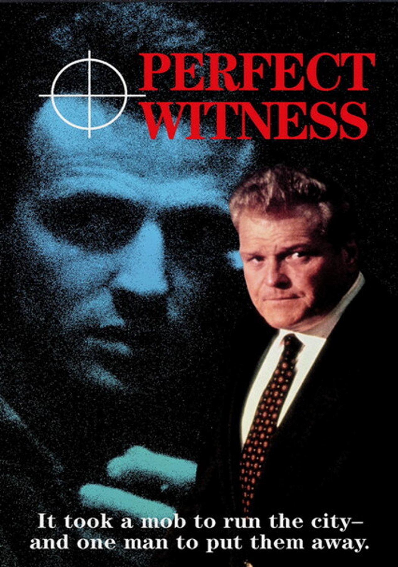 Pôster de Perfect Witness