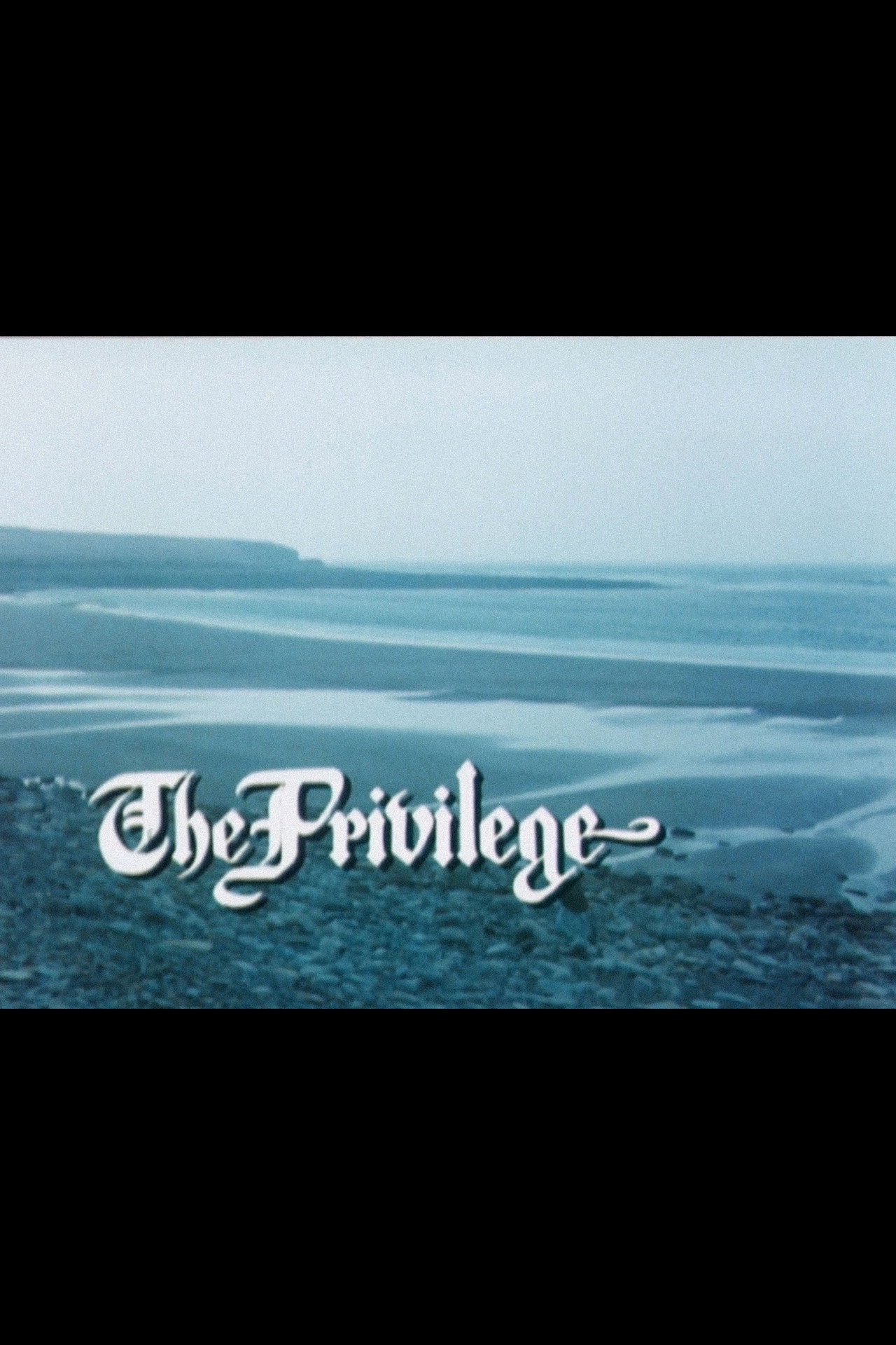 Pôster de The Privilege