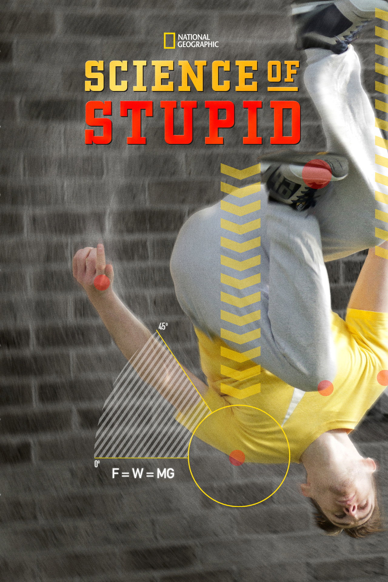 Pôster de Science of Stupid
