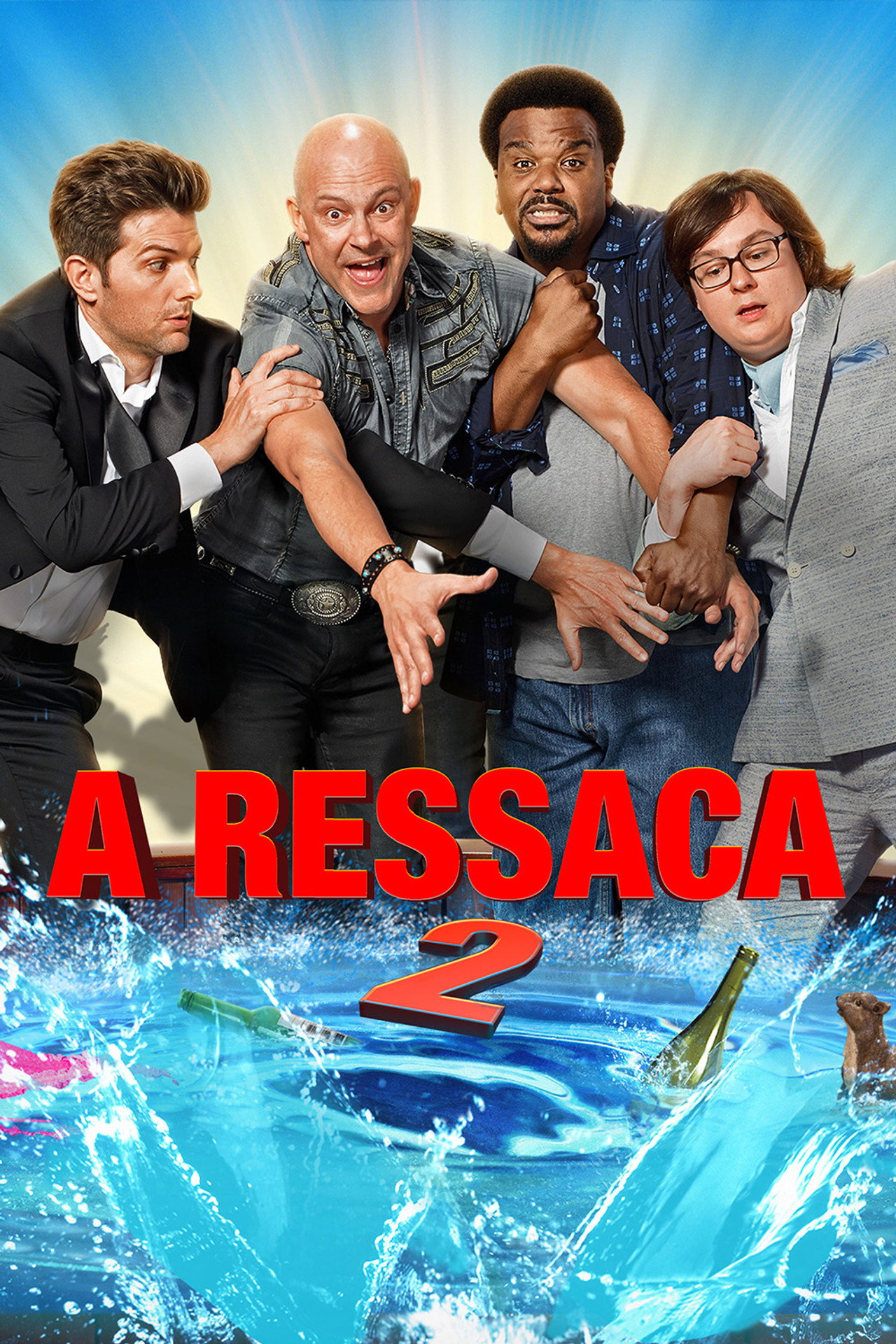 Pôster de A Ressaca 2