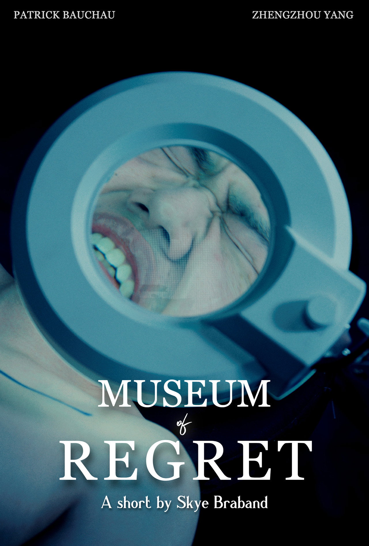Pôster de Museum of Regret