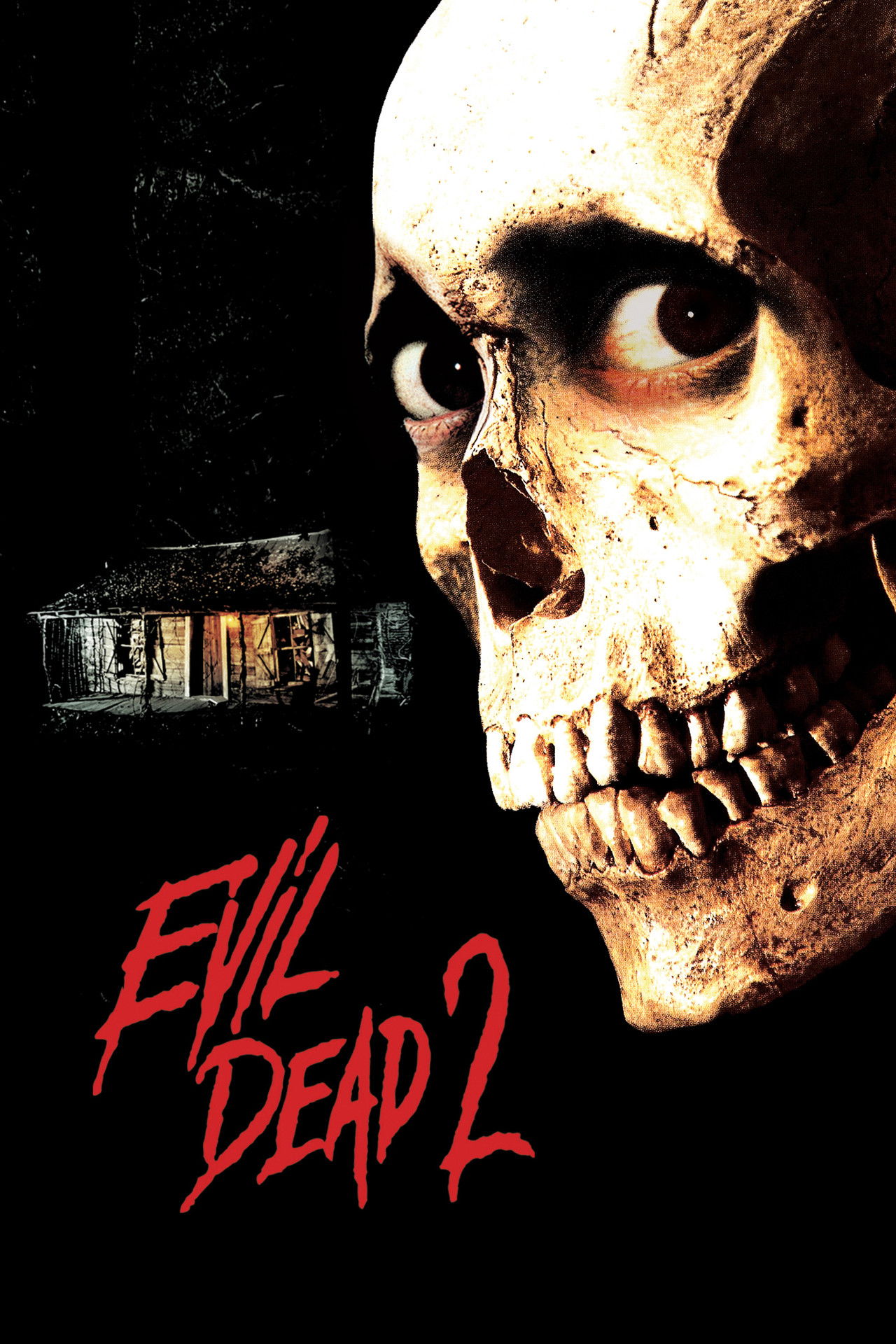 Pôster de Evil Dead II