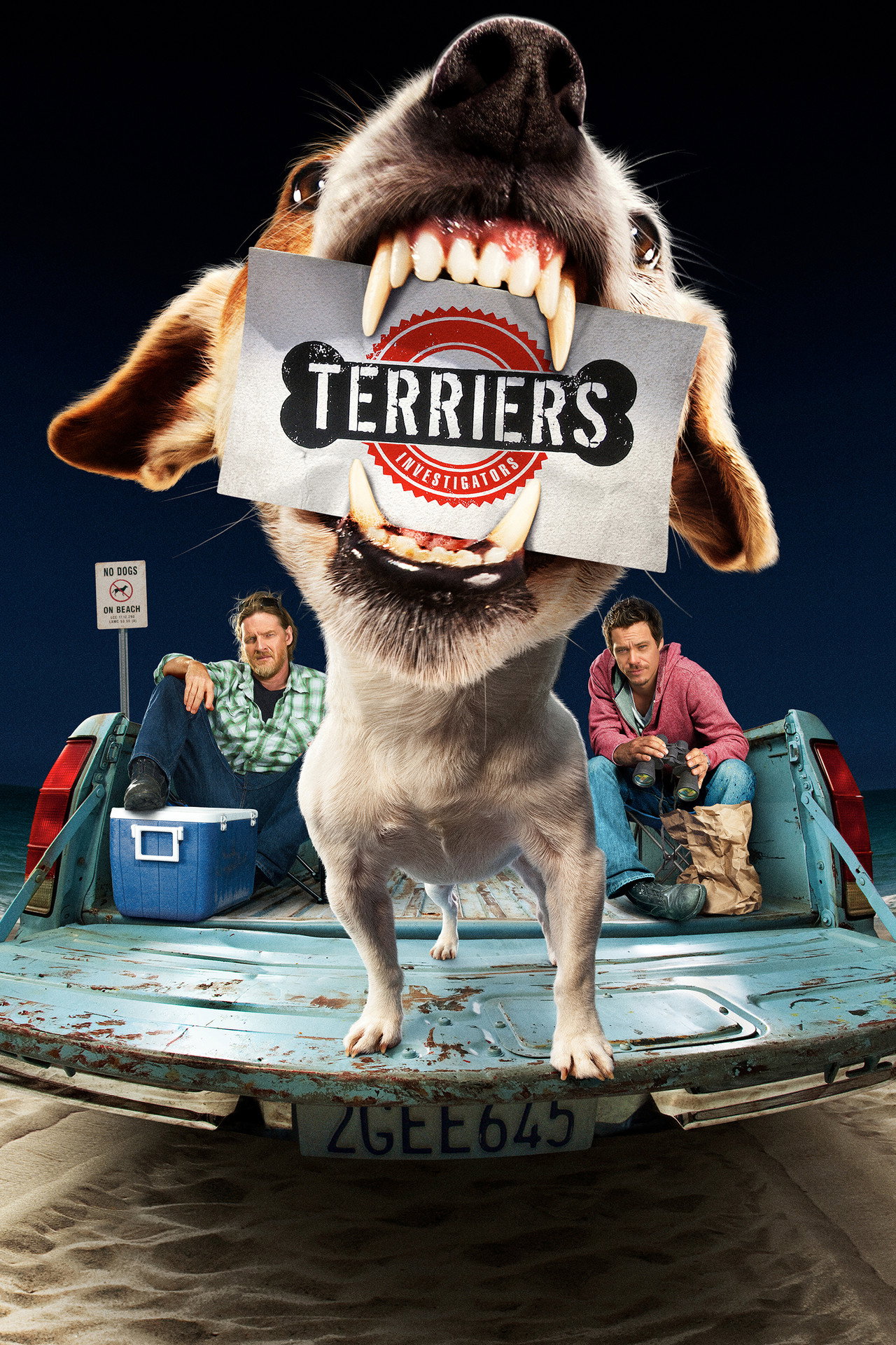 Pôster de Terriers
