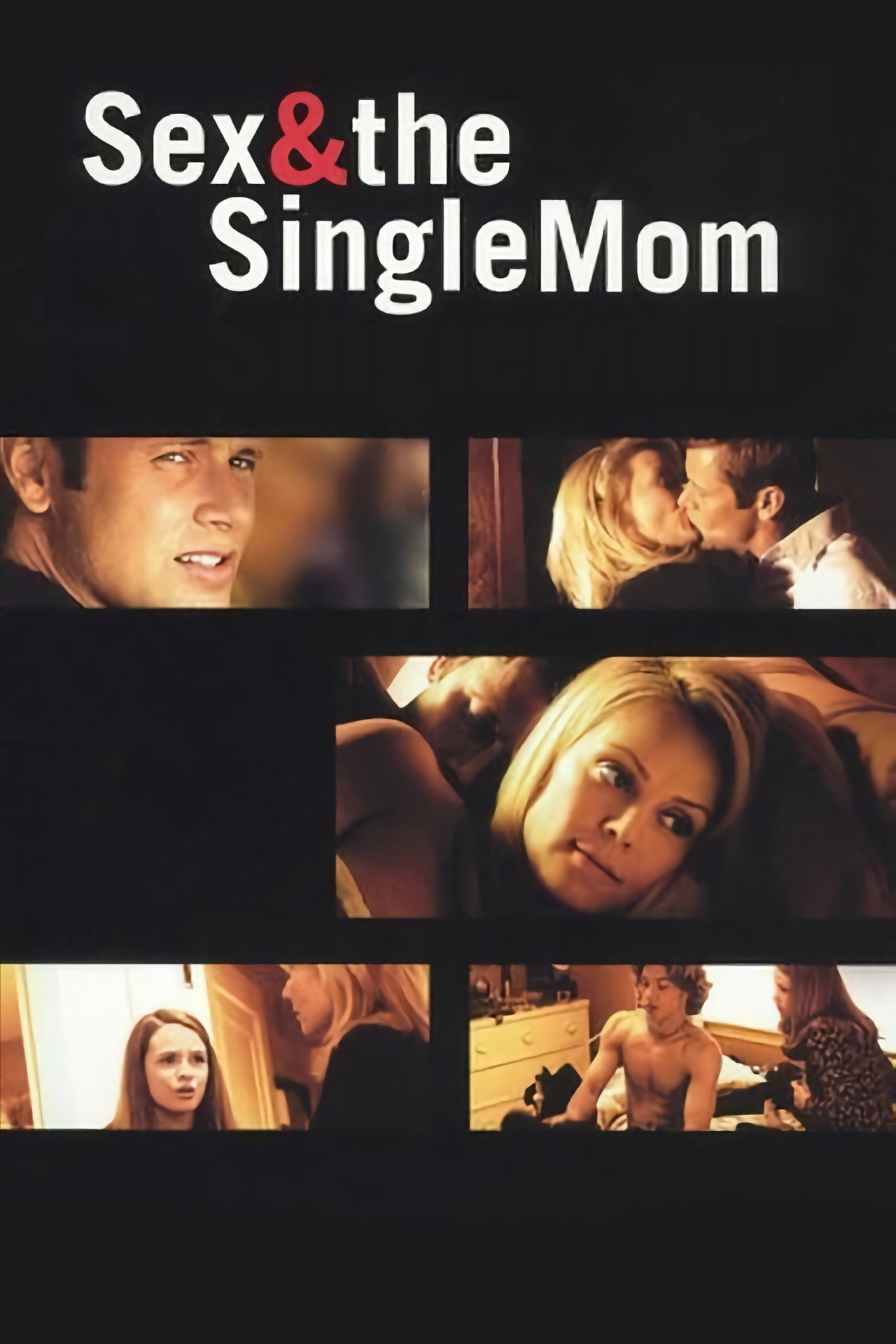Pôster de Sex & the Single Mom