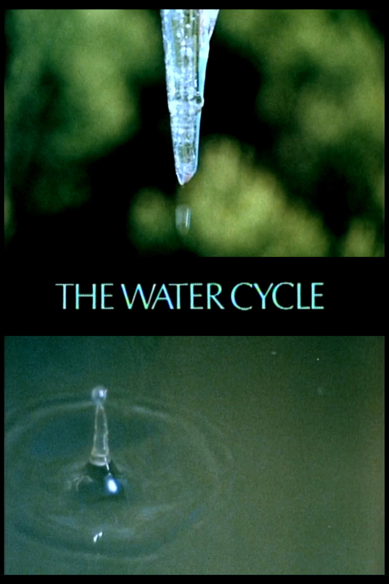 Pôster de The Water Cycle