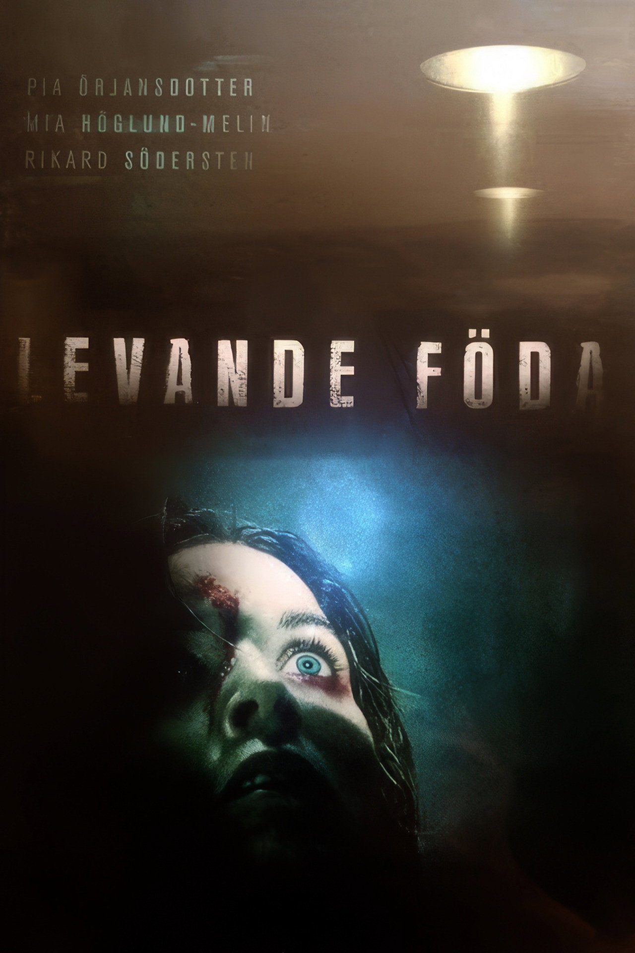 Pôster de Levande föda