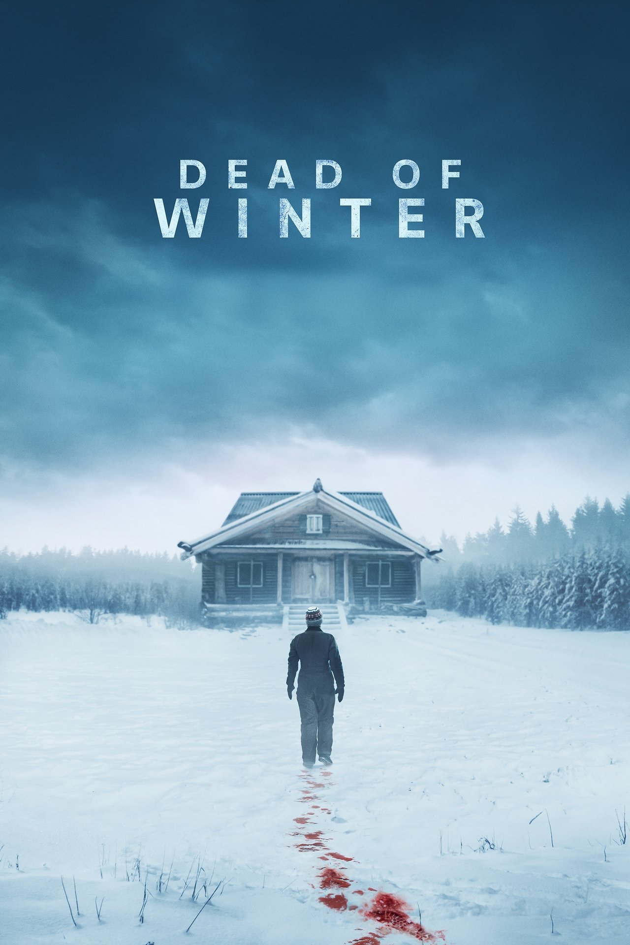 Pôster de Dead of Winter
