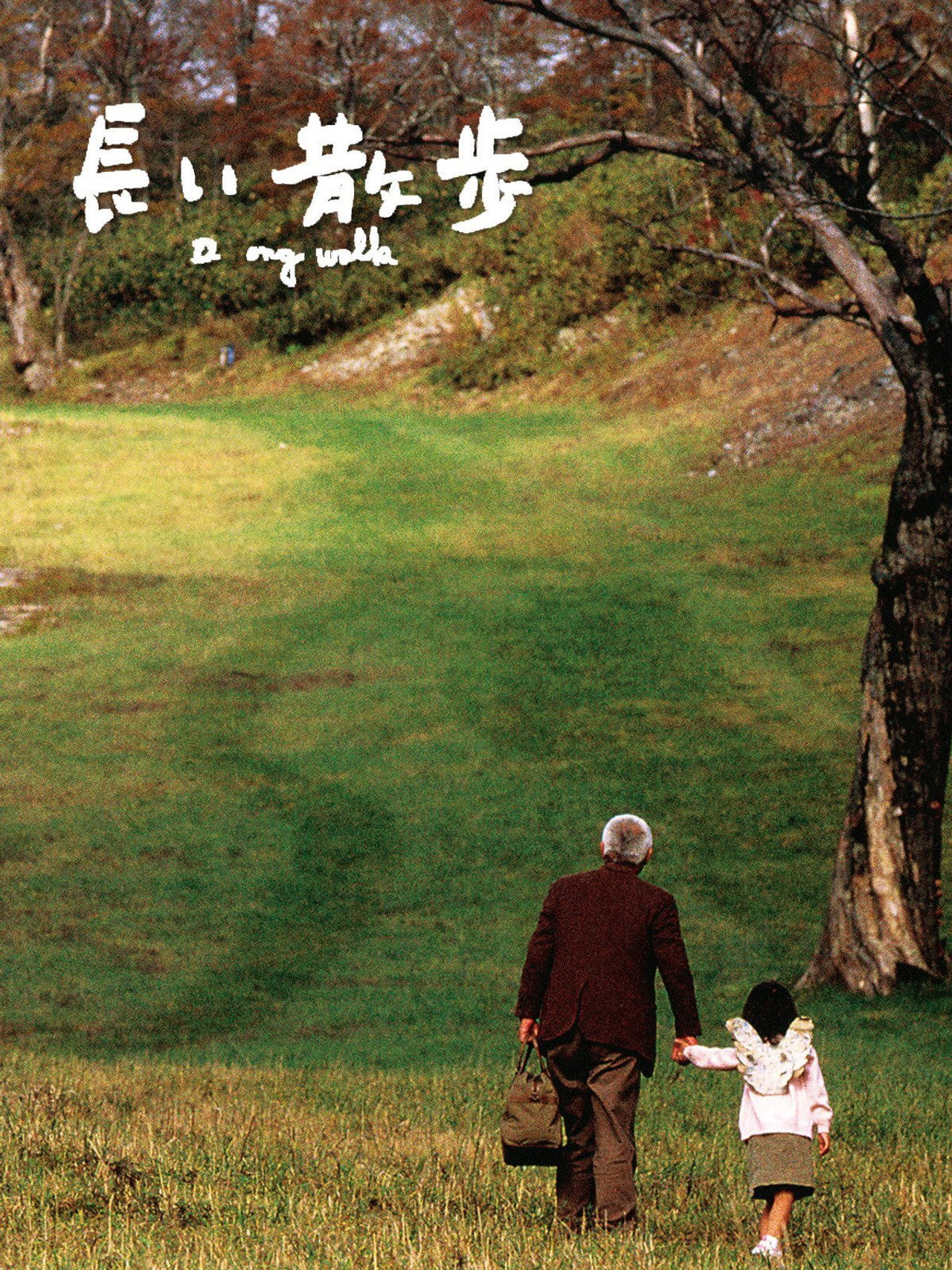 Pôster de 長い散歩