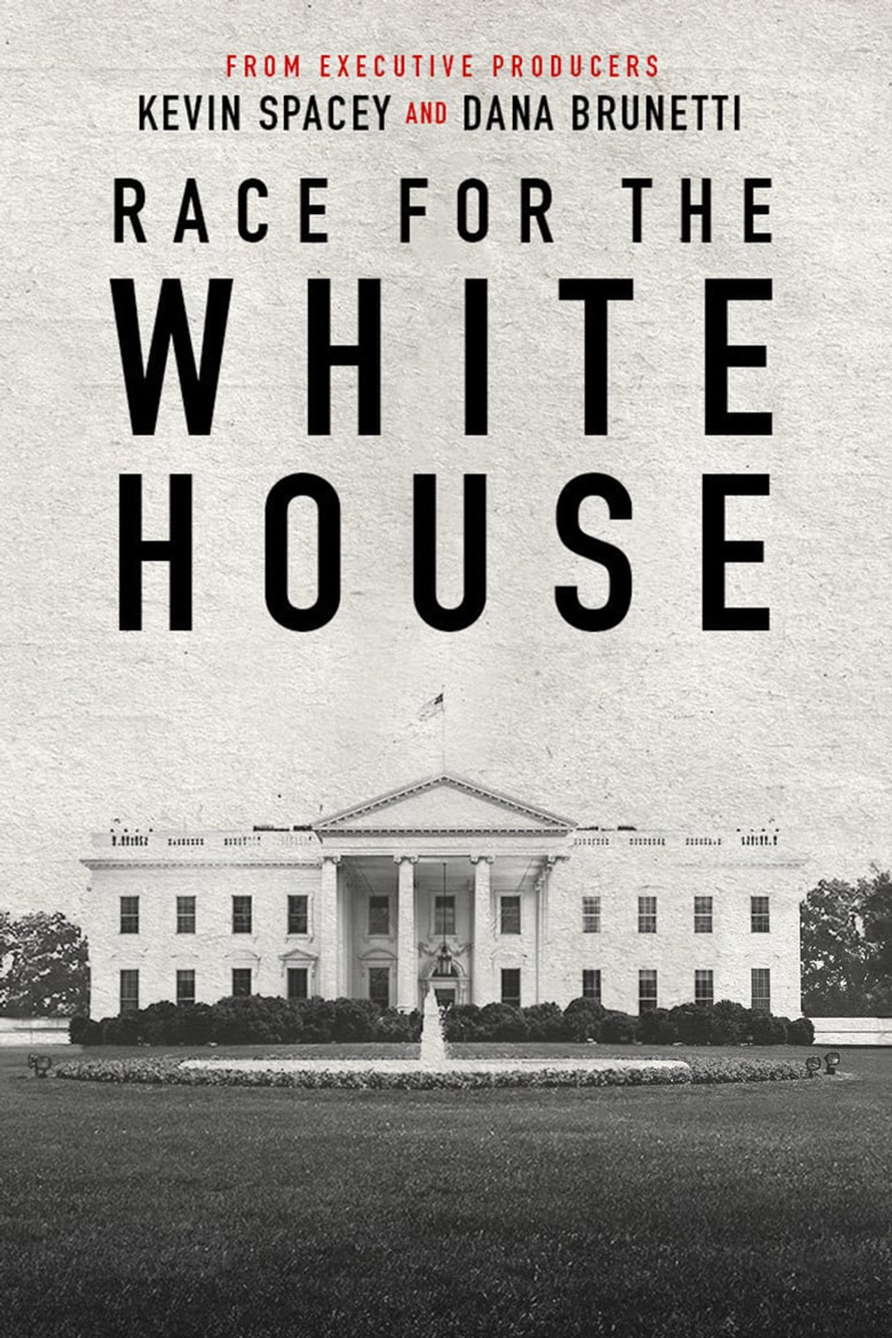 Pôster de Race for the White House