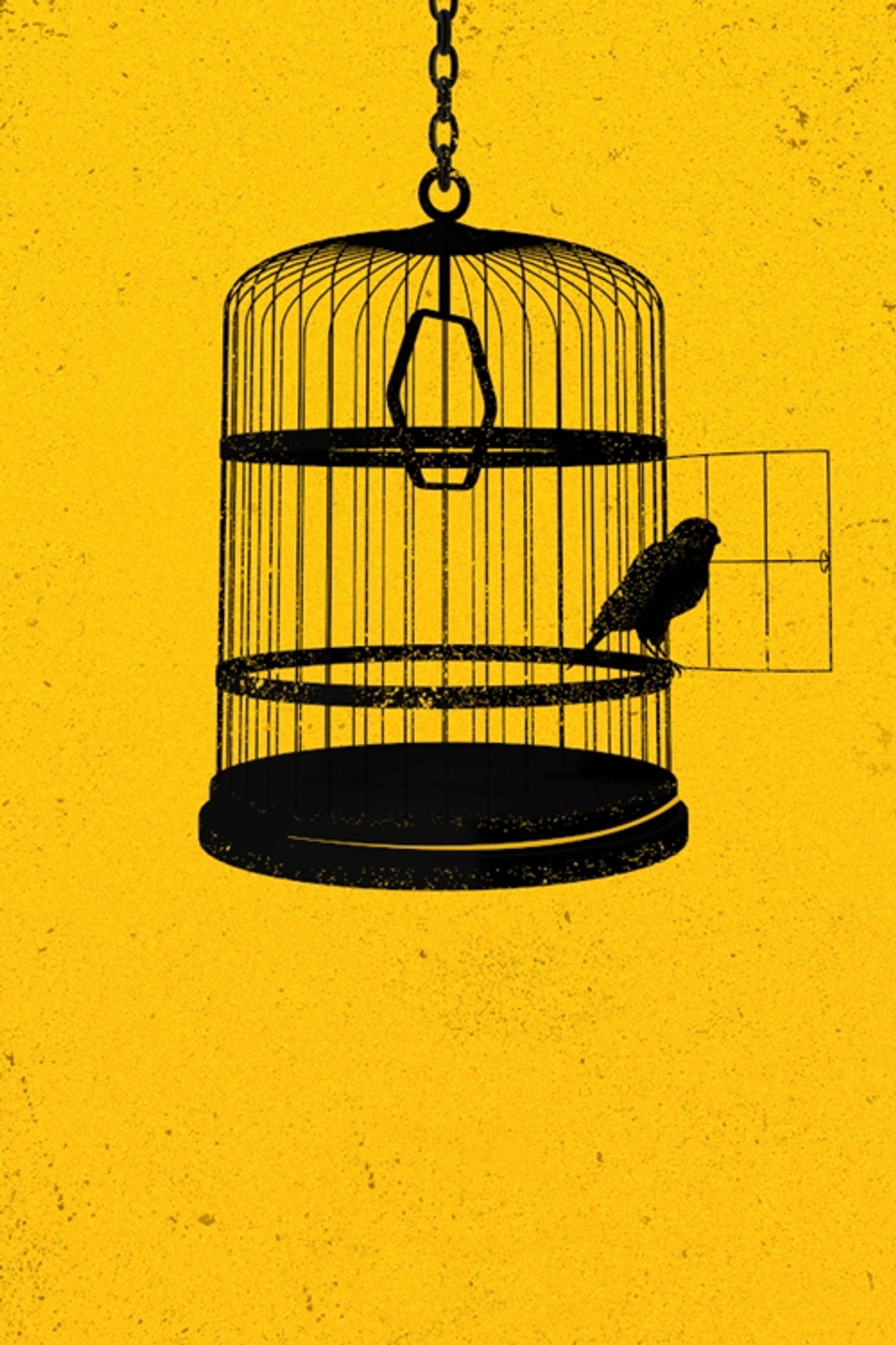 Pôster de Locked Up