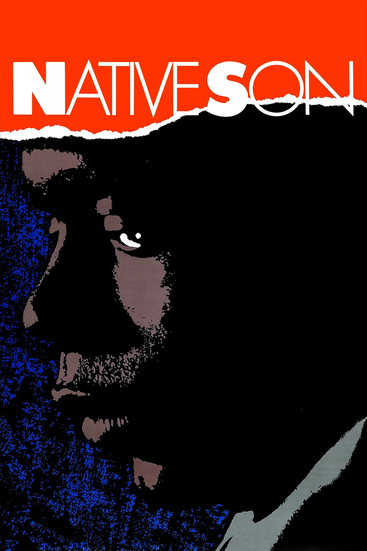 Pôster de Native Son