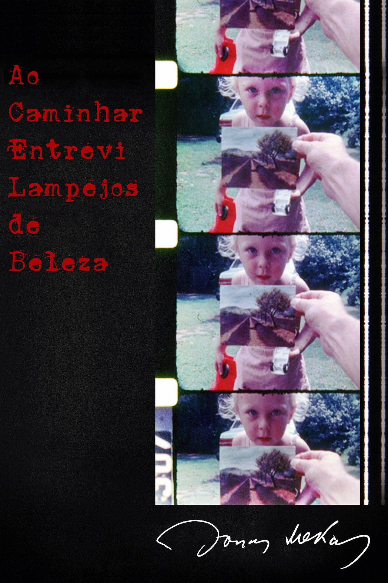 Pôster de Ao Caminhar Entrevi Lampejos de Beleza