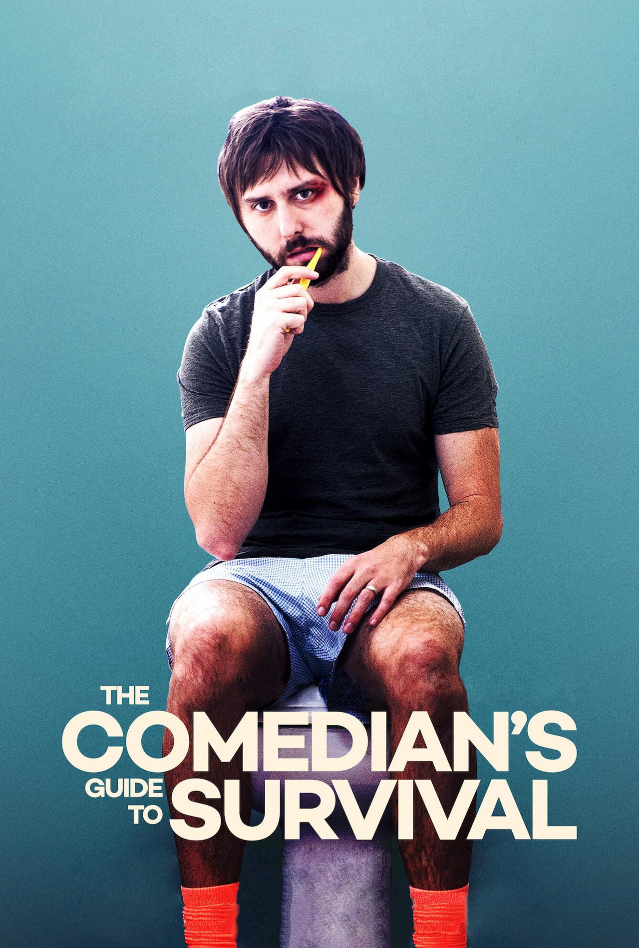 Pôster de The Comedian's Guide to Survival