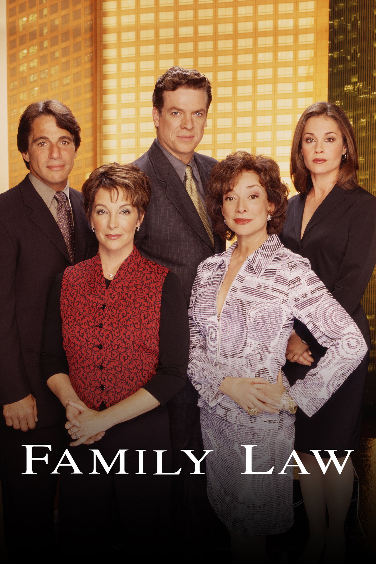 Pôster de Family Law