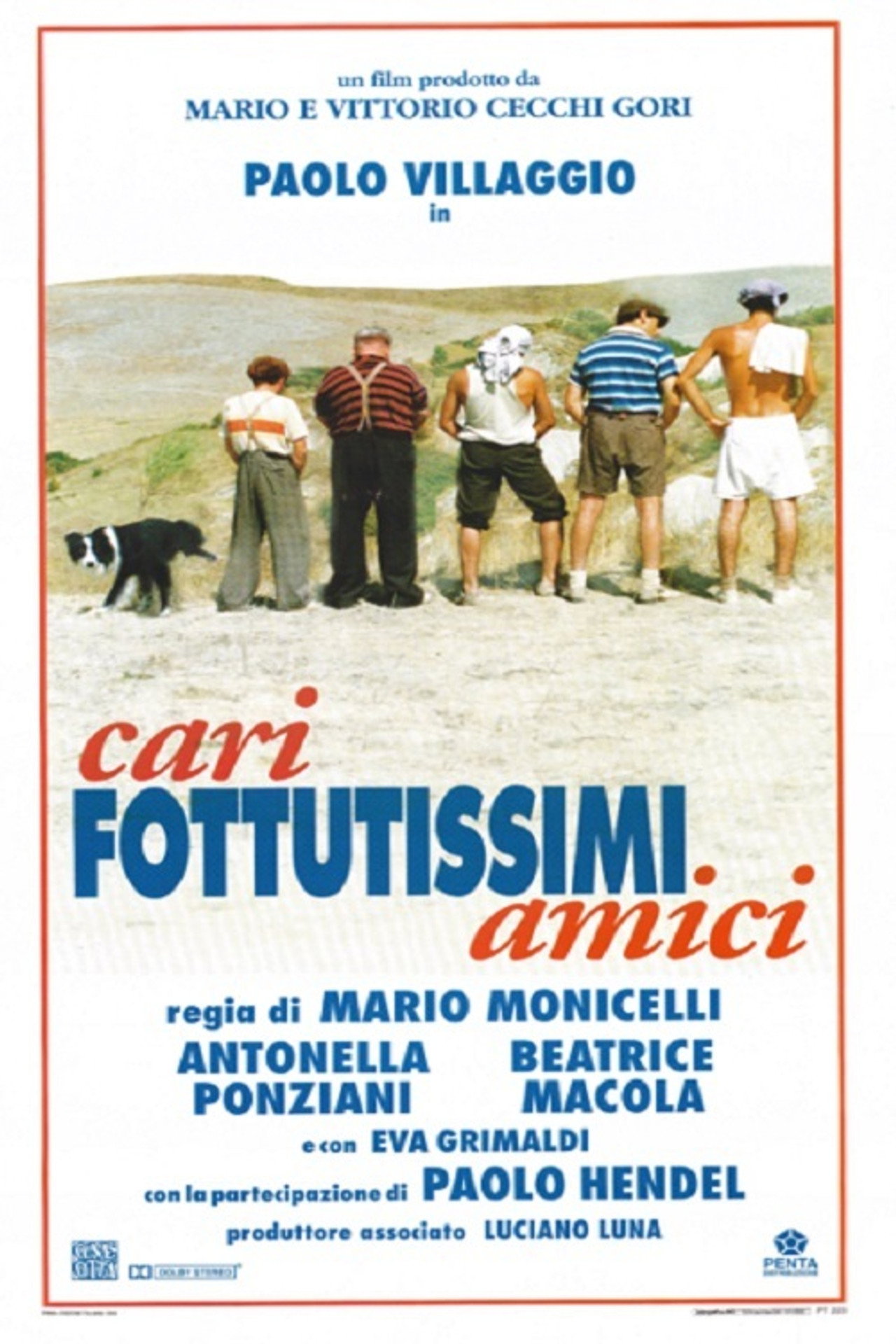 Pôster de Caros F... Amigos