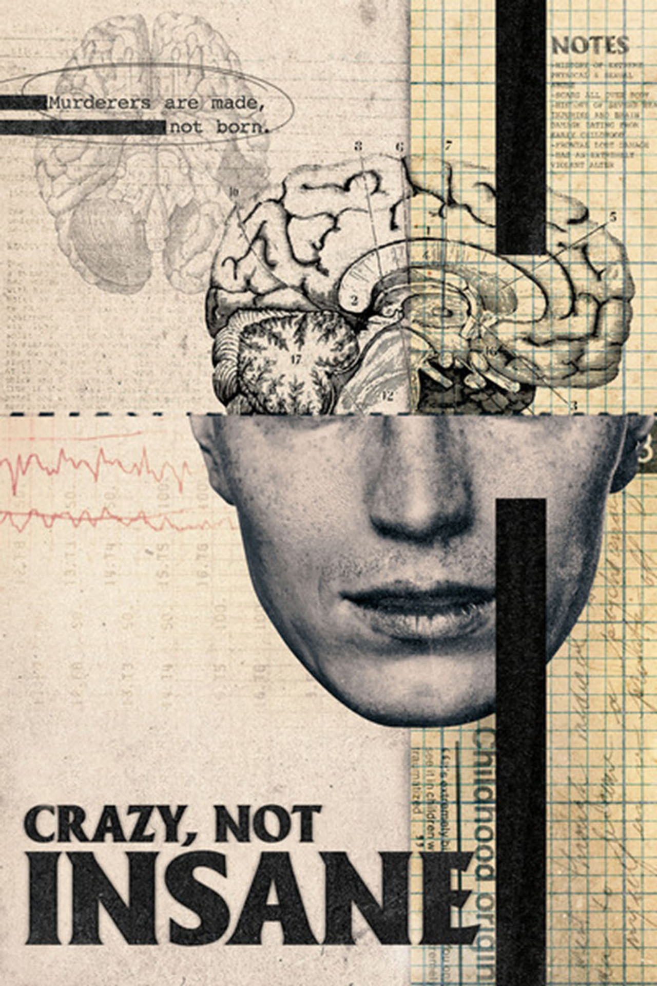 Pôster de Crazy, Not Insane