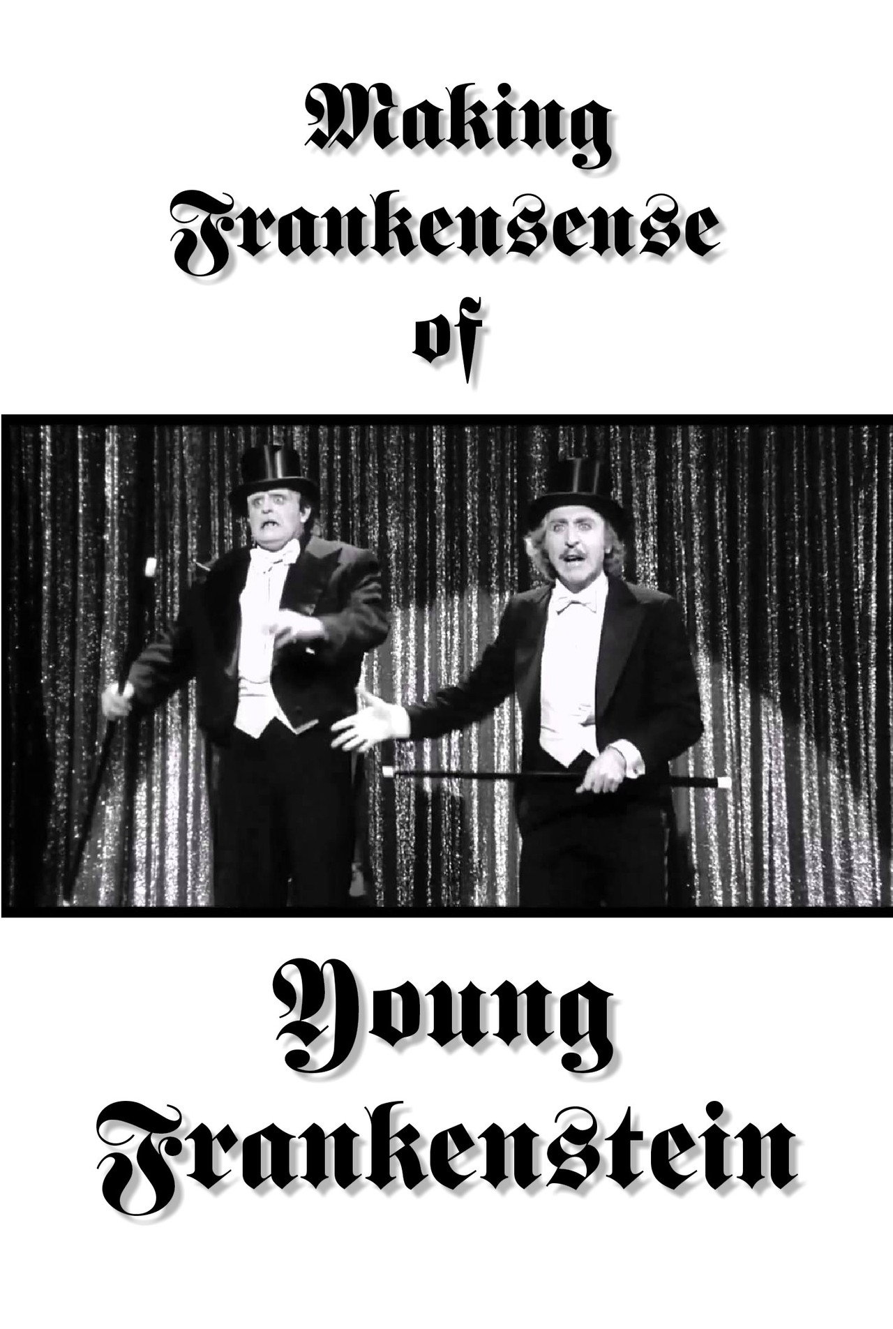 Pôster de Making Frankensense of Young Frankenstein