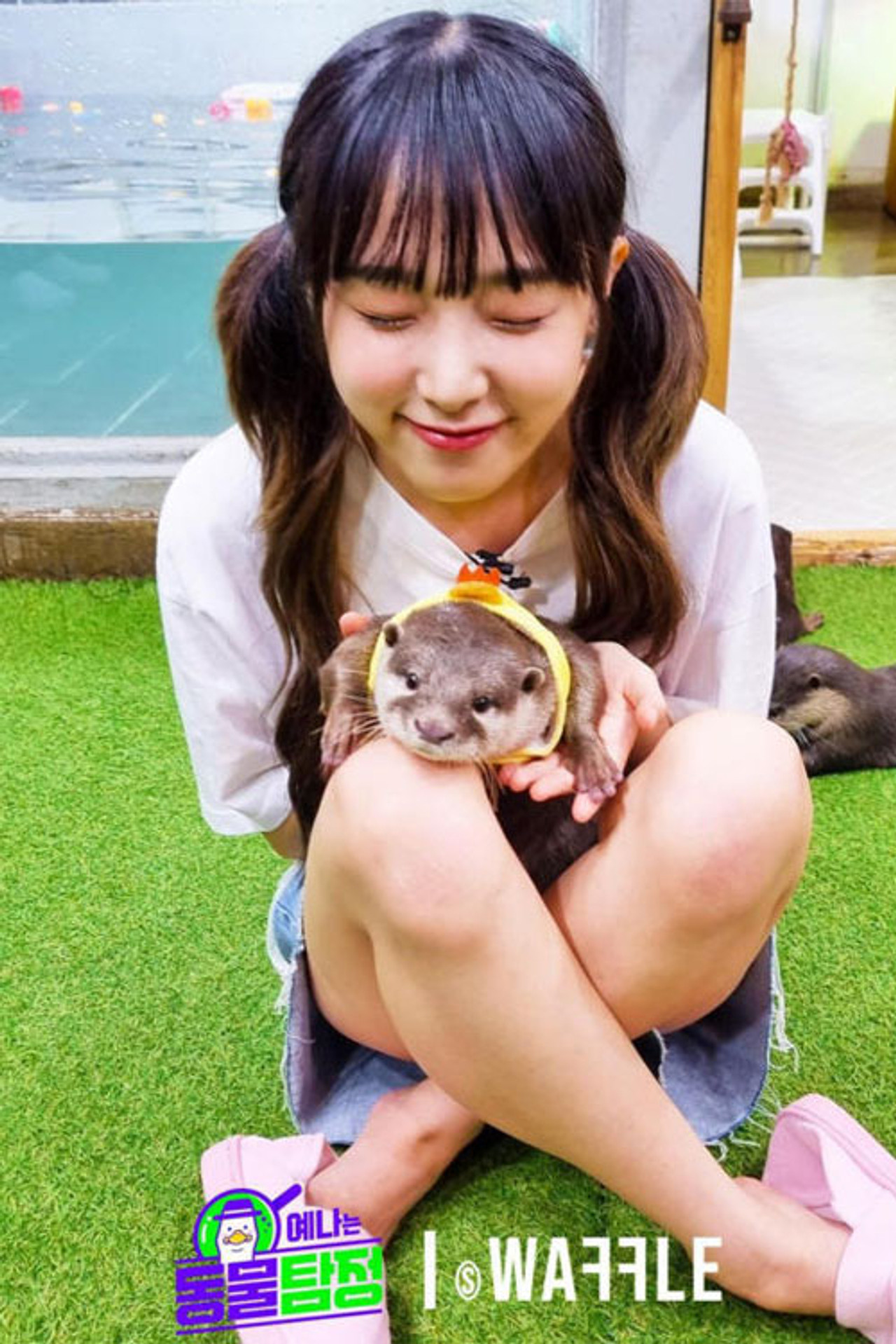 Pôster de 예나는동물탐정