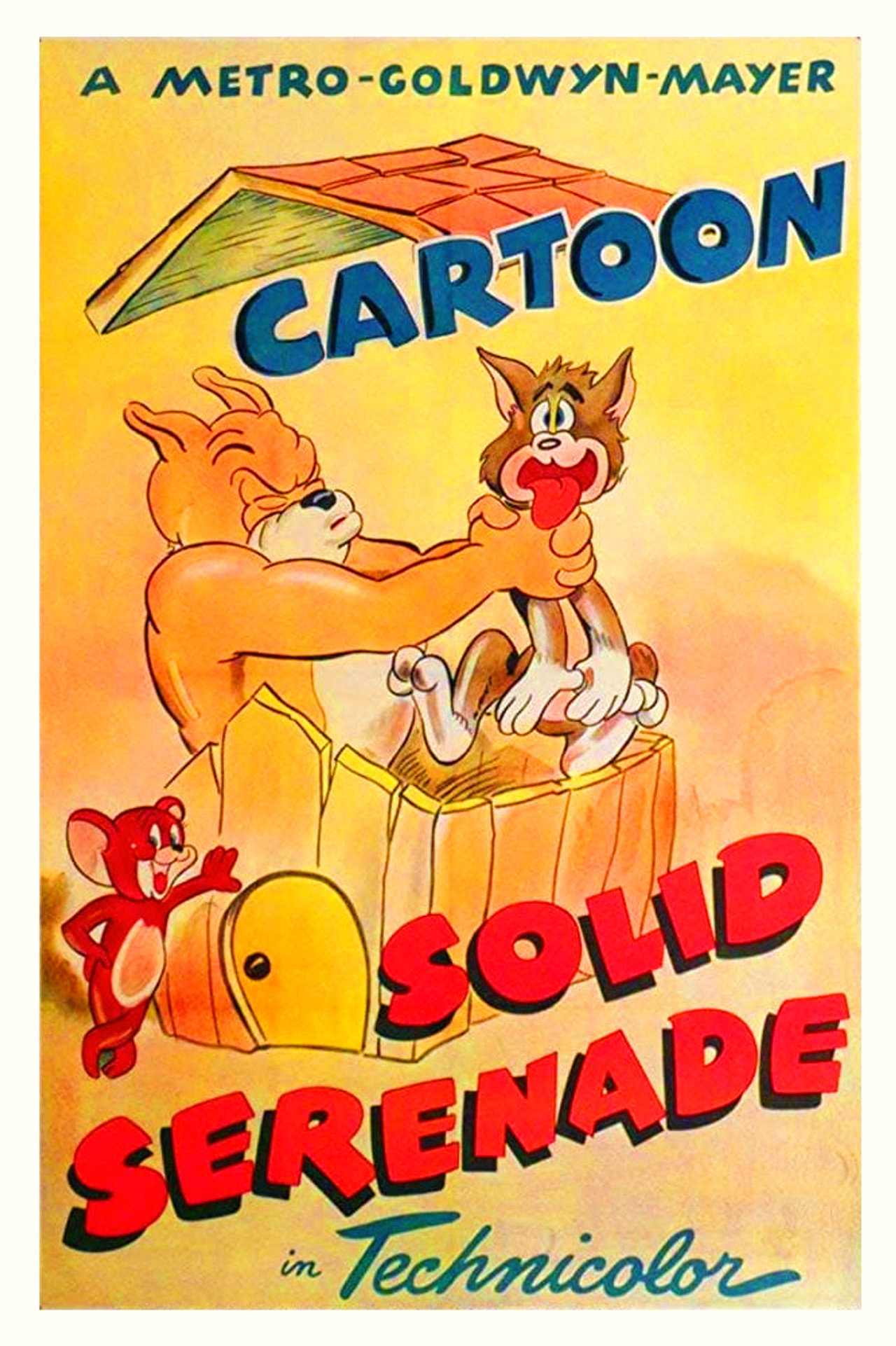 Pôster de Solid Serenade