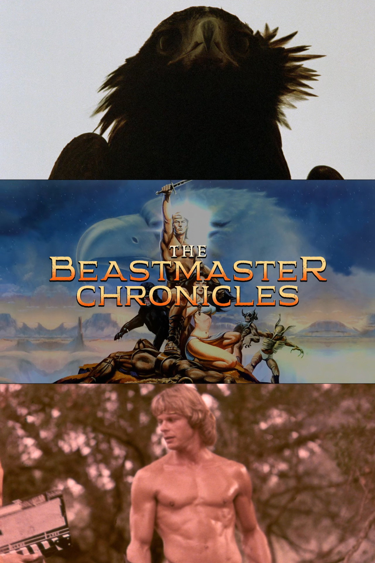 Pôster de The Beastmaster Chronicles