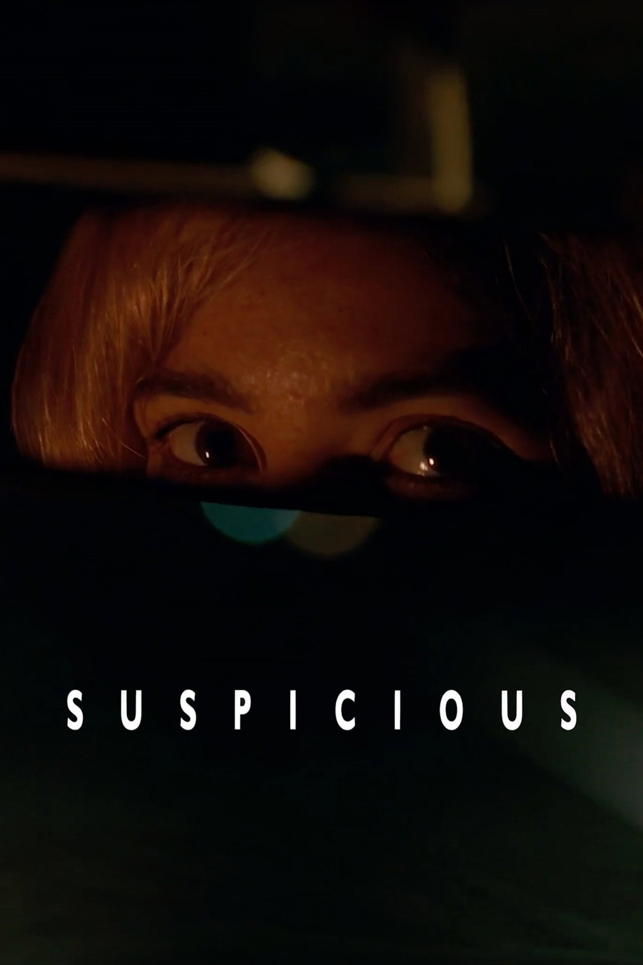 Pôster de Suspicious
