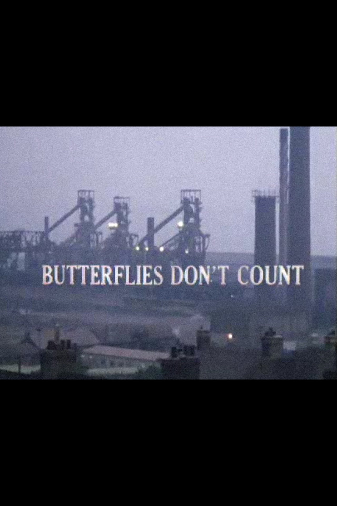 Pôster de Butterflies Don't Count