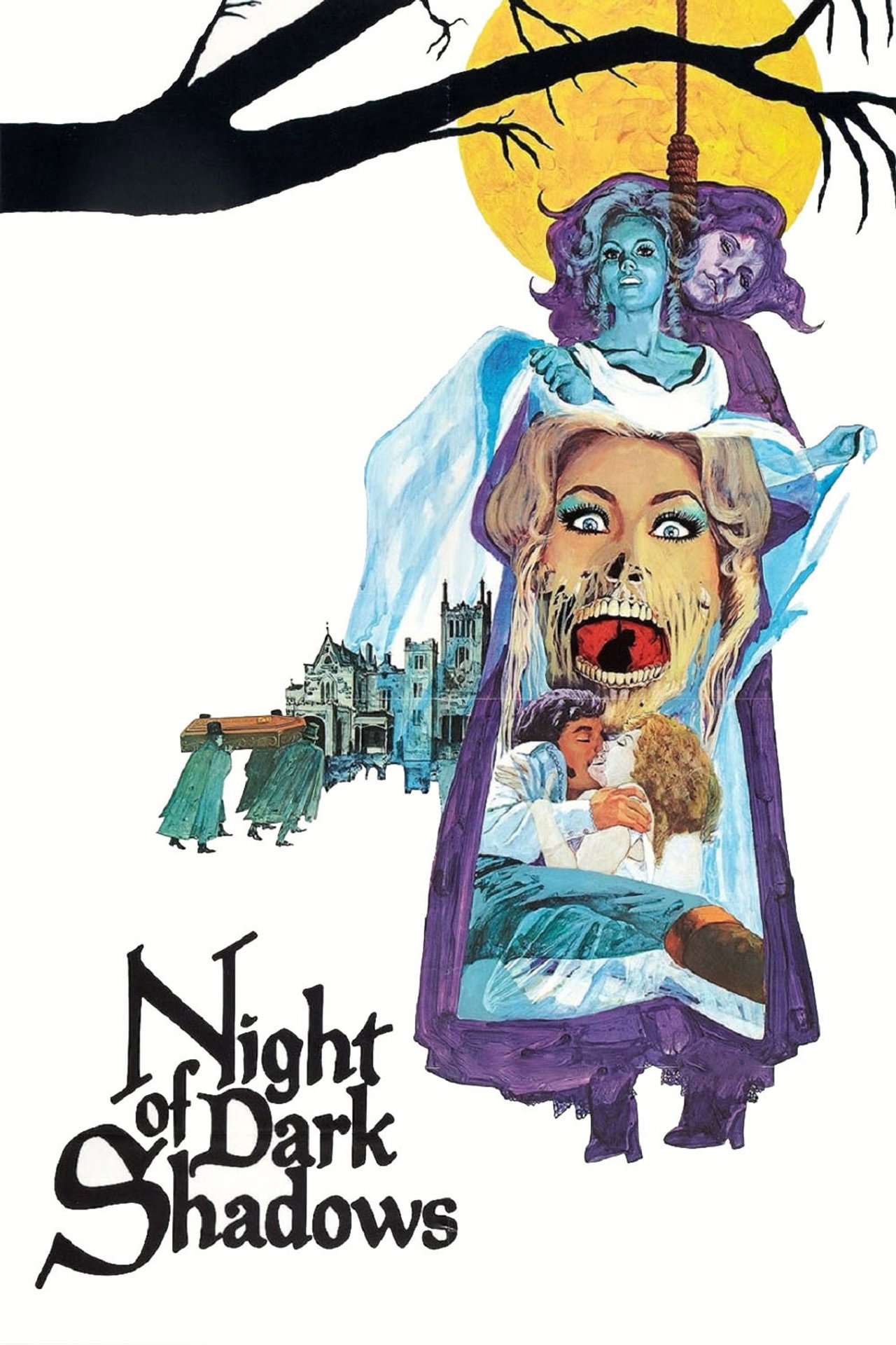 Pôster de Night of Dark Shadows